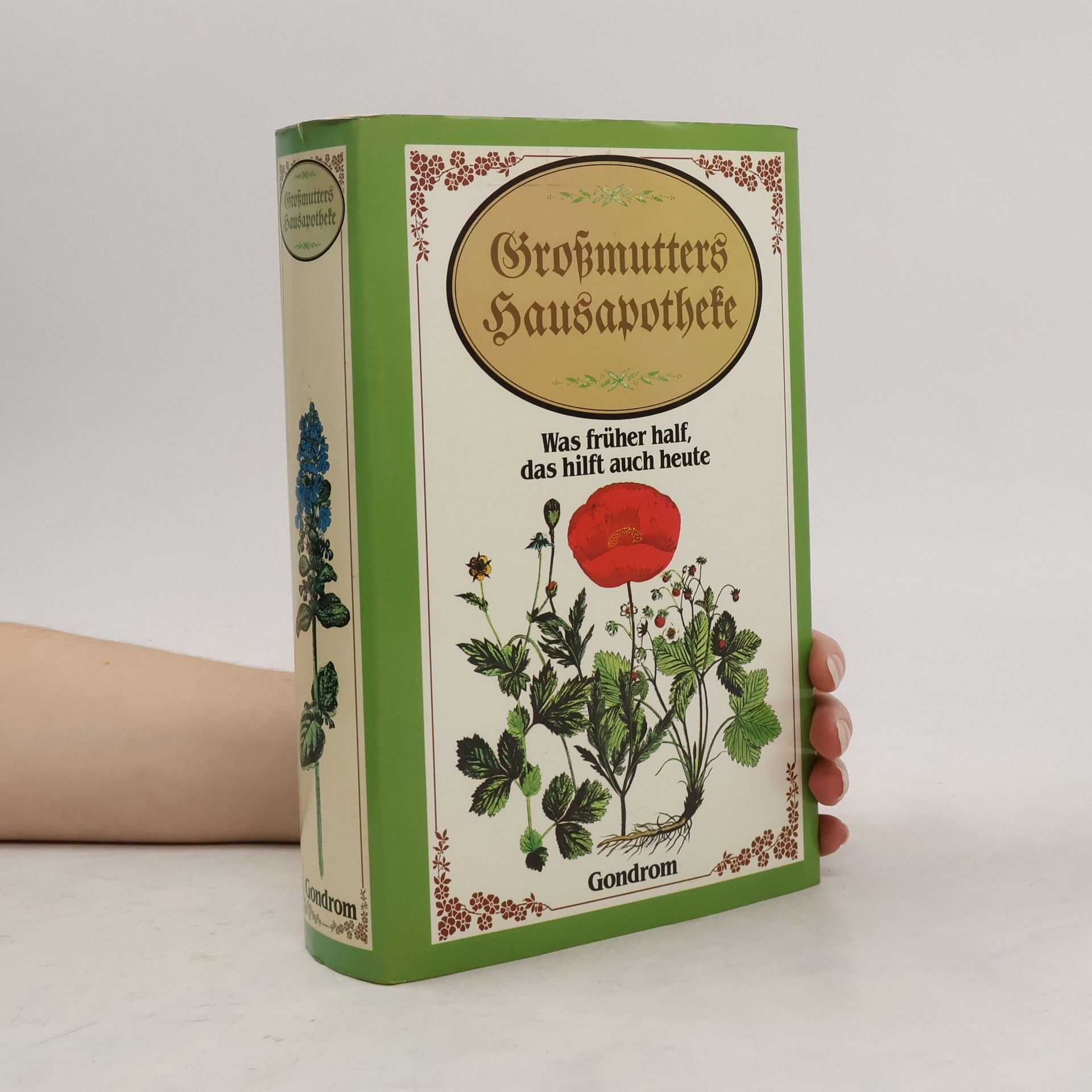 Roland W. Fink-Henseler Grossmutters Hausapotheke