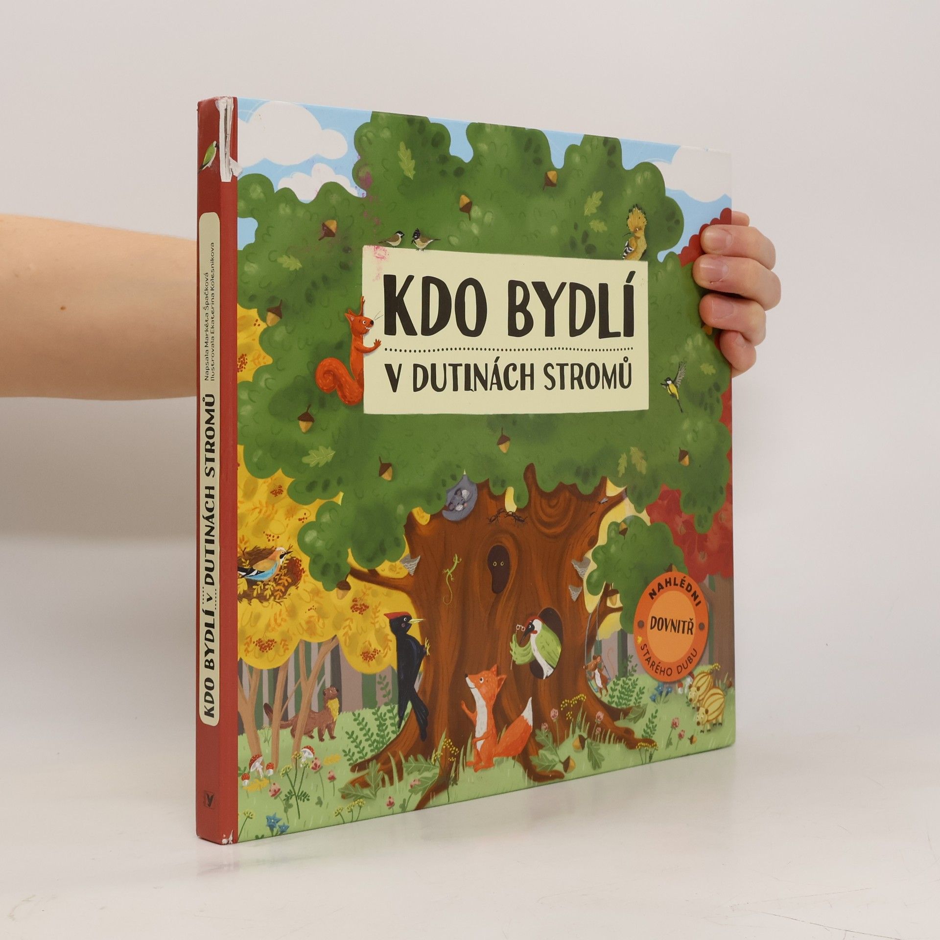 Markéta Špačková Kdo bydlí v dutinách stromů