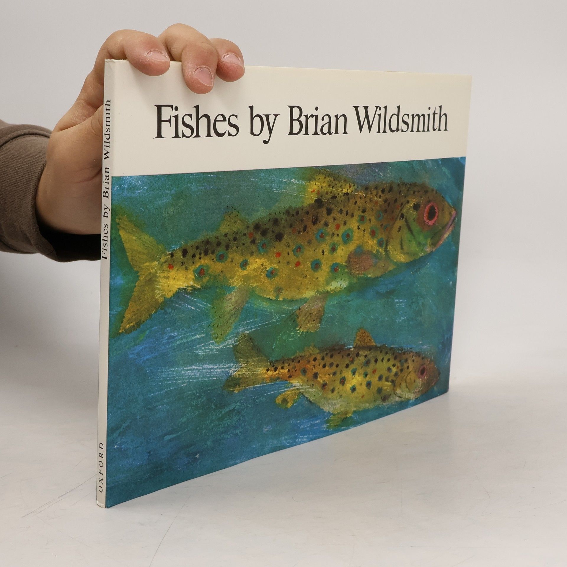 Brian Wildsmith Fishes by Brian Wildsmith