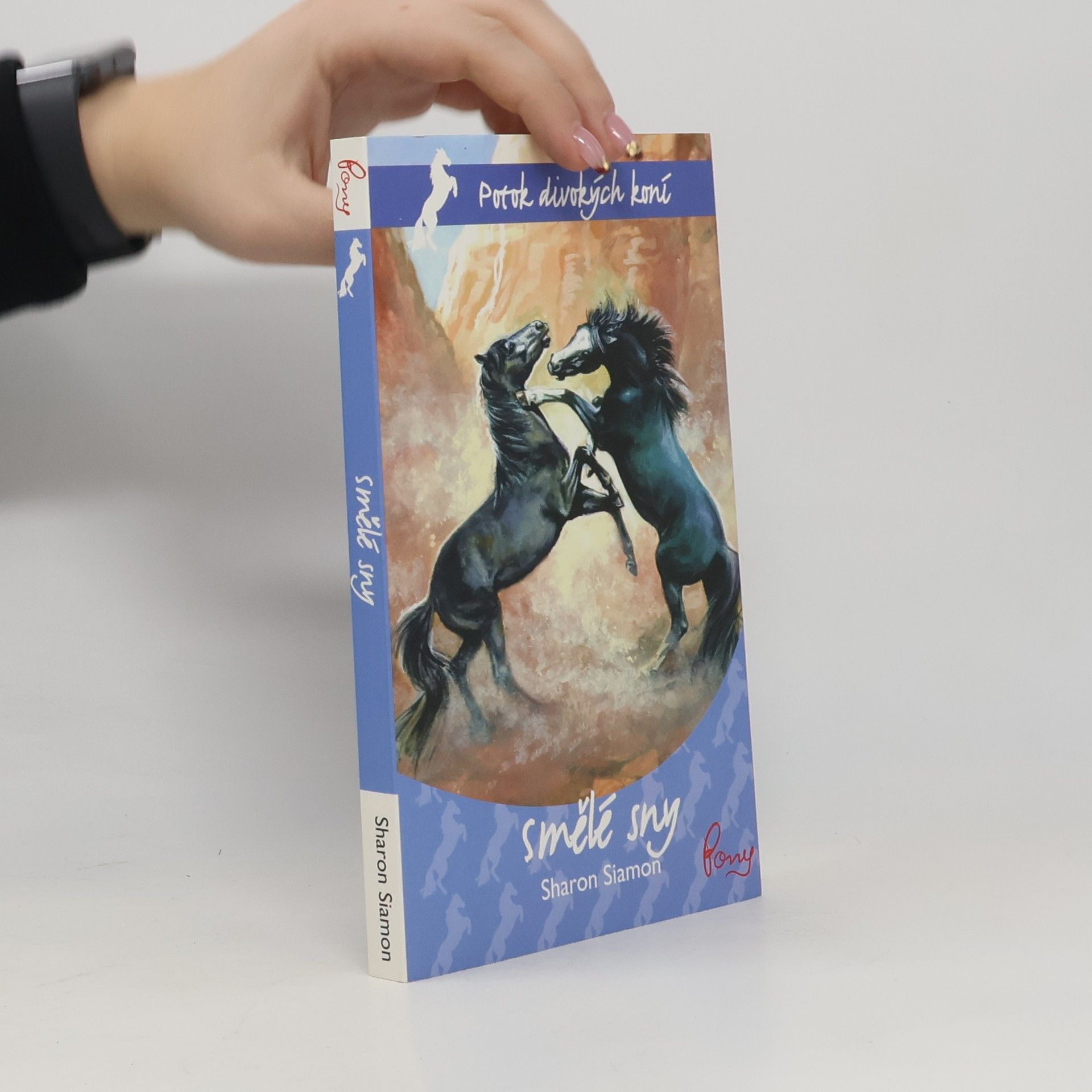 Sharon Siamon Smělé sny. 5. díl