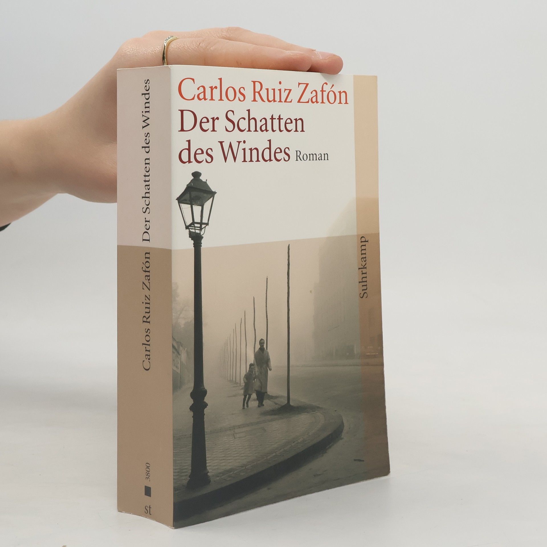 Carlos Ruiz Zafón Der Schatten des Windes