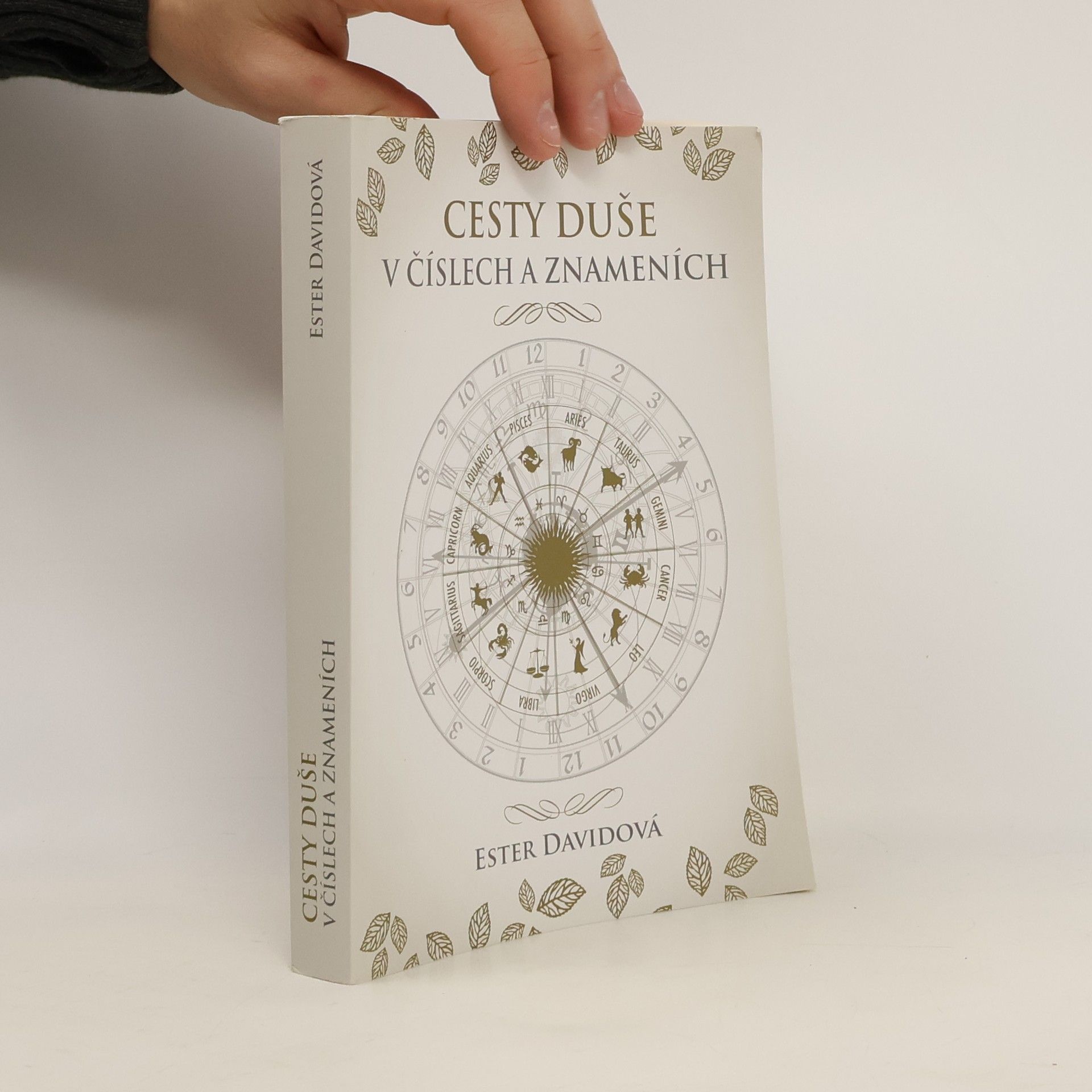 Ester Davidová Cesty duše v číslech a znameních