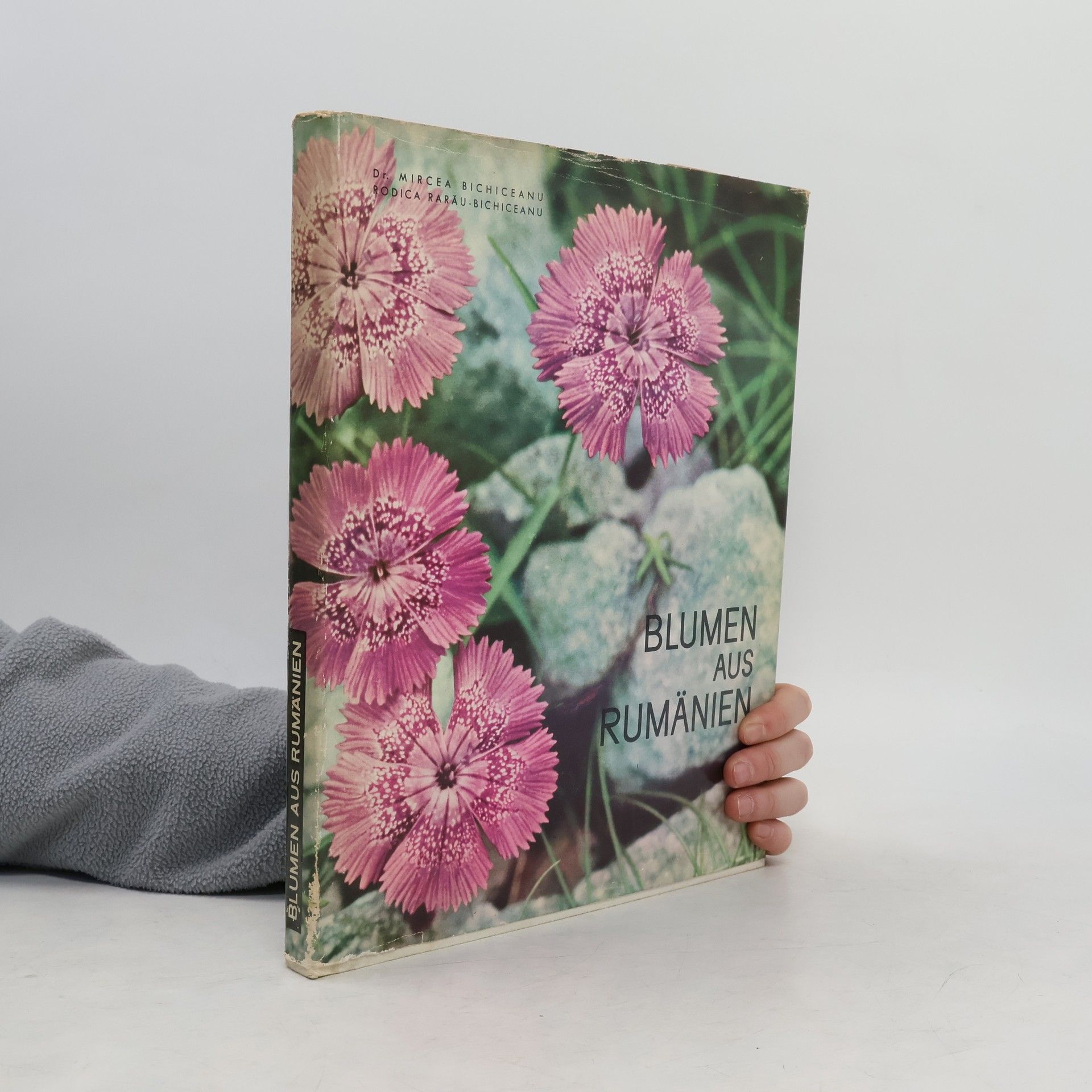 Rodica Rarău-Bichiceanu Blumen aus Rumänien