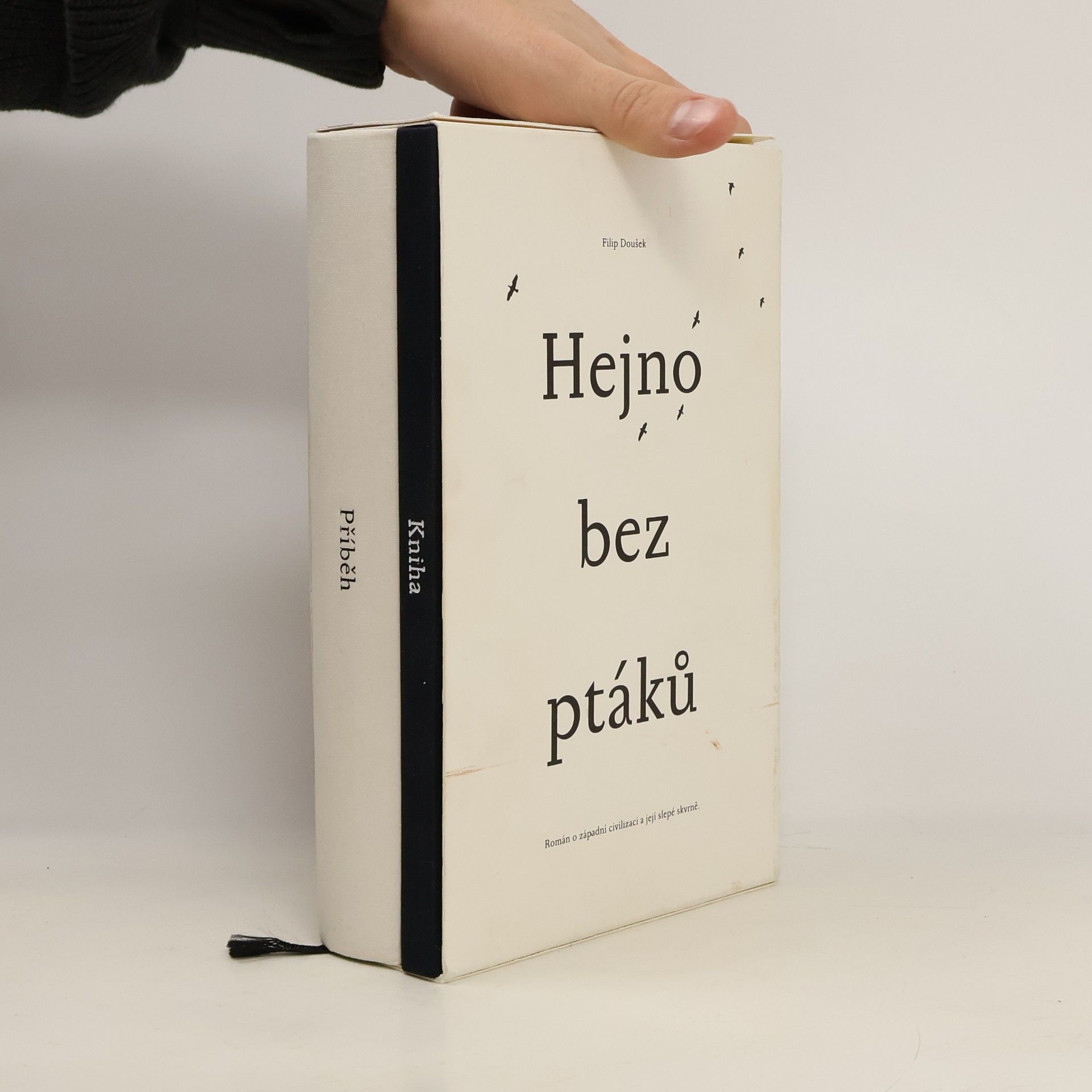 Filip Doušek Hejno bez ptáků