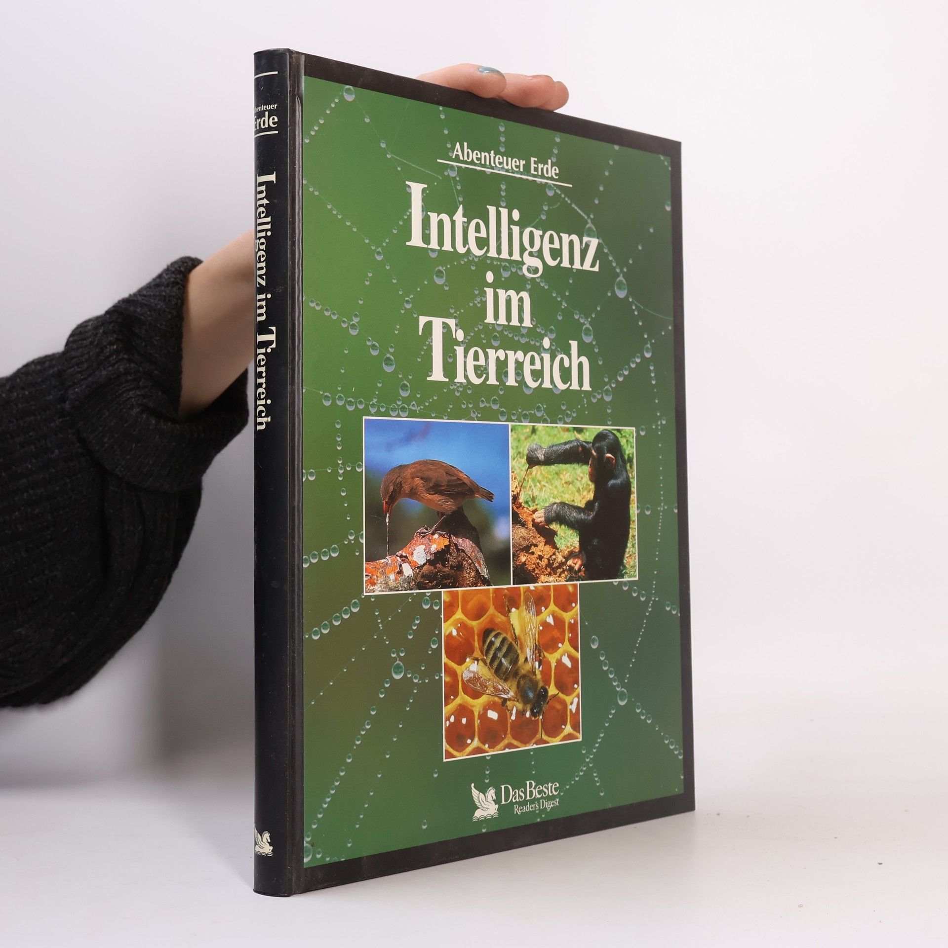 Autorenkollektiv Intelligenz im Tierreich