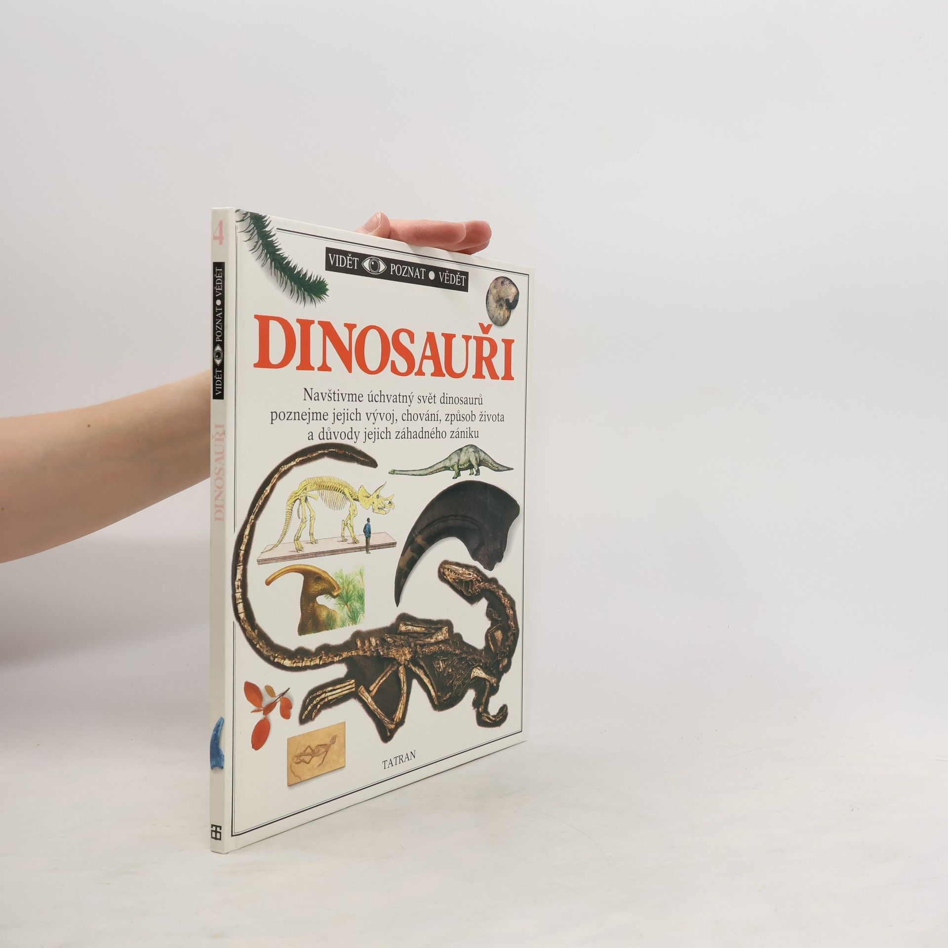 Collectif d'auteurs Dinosauři