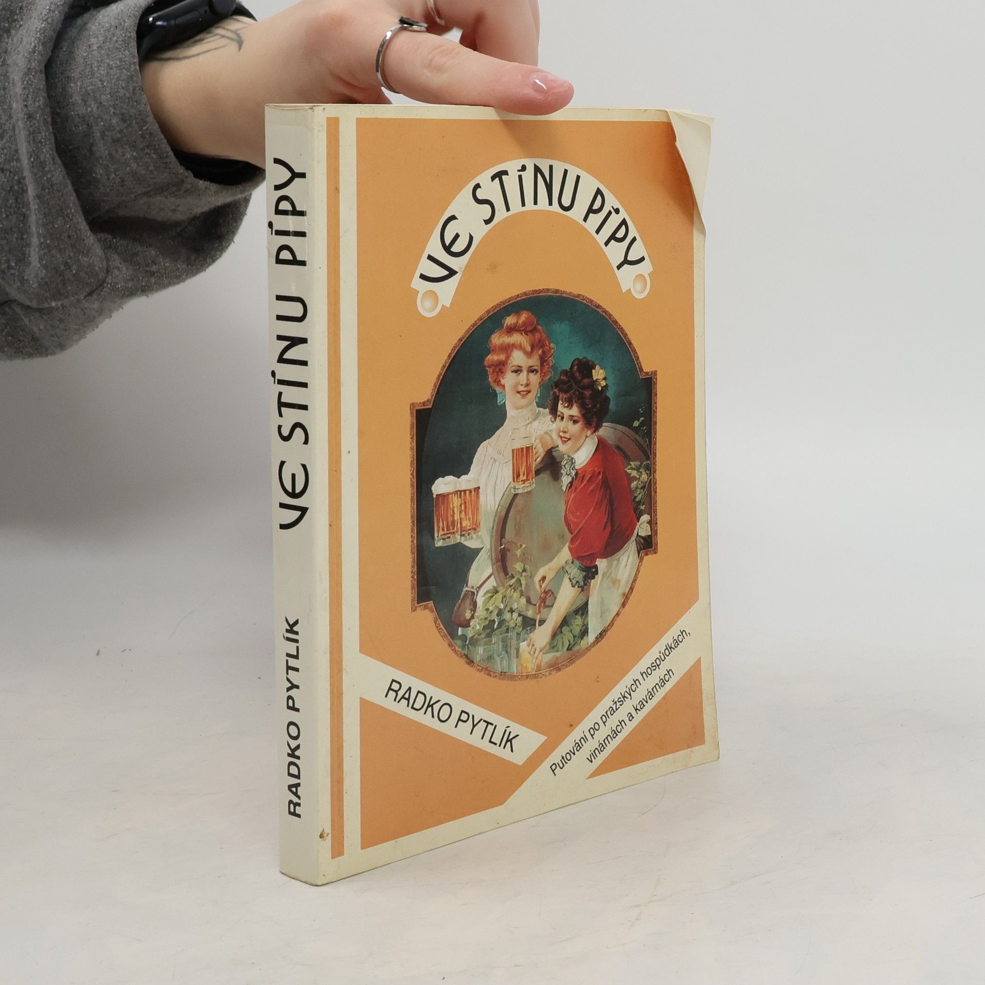 Radko Pytlík Ve stínu pípy. Hovory a fantazie