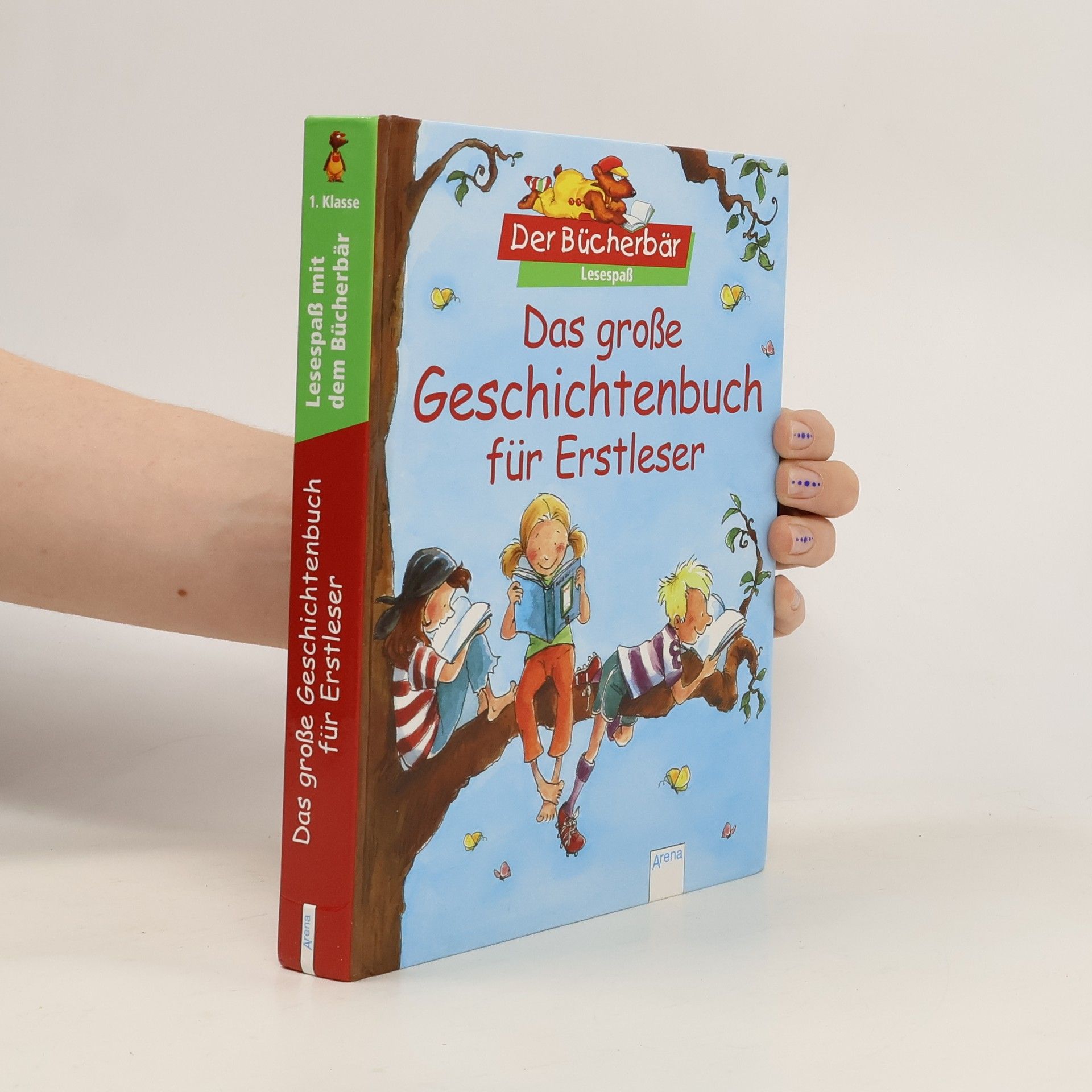 Autorenkollektiv Das große Geschichtenbuch für Erstleser