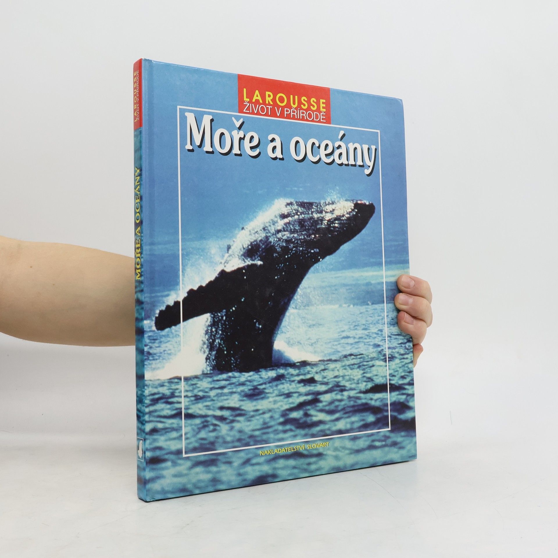 Vladimír Čadský Moře a oceány