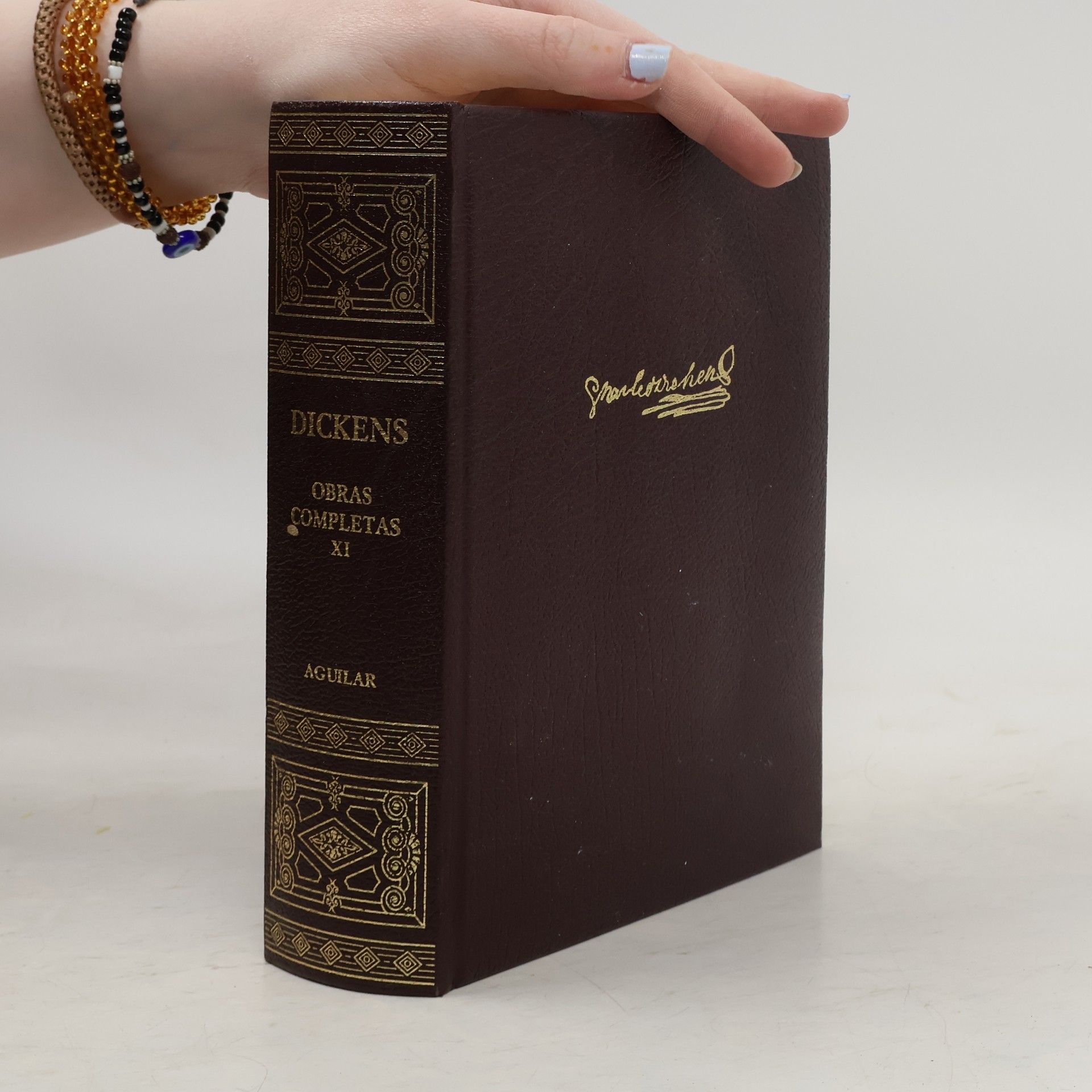 Charles Dickens Obras completas XI