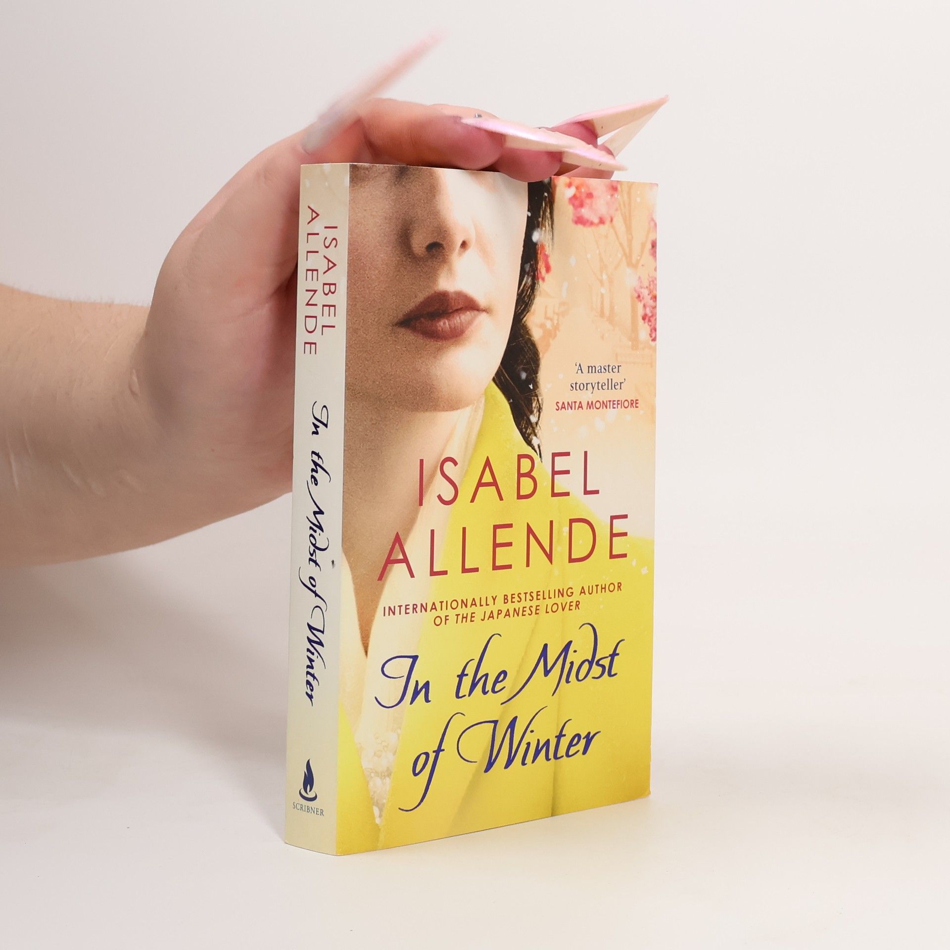 Isabel Allende In the Midst of Winter