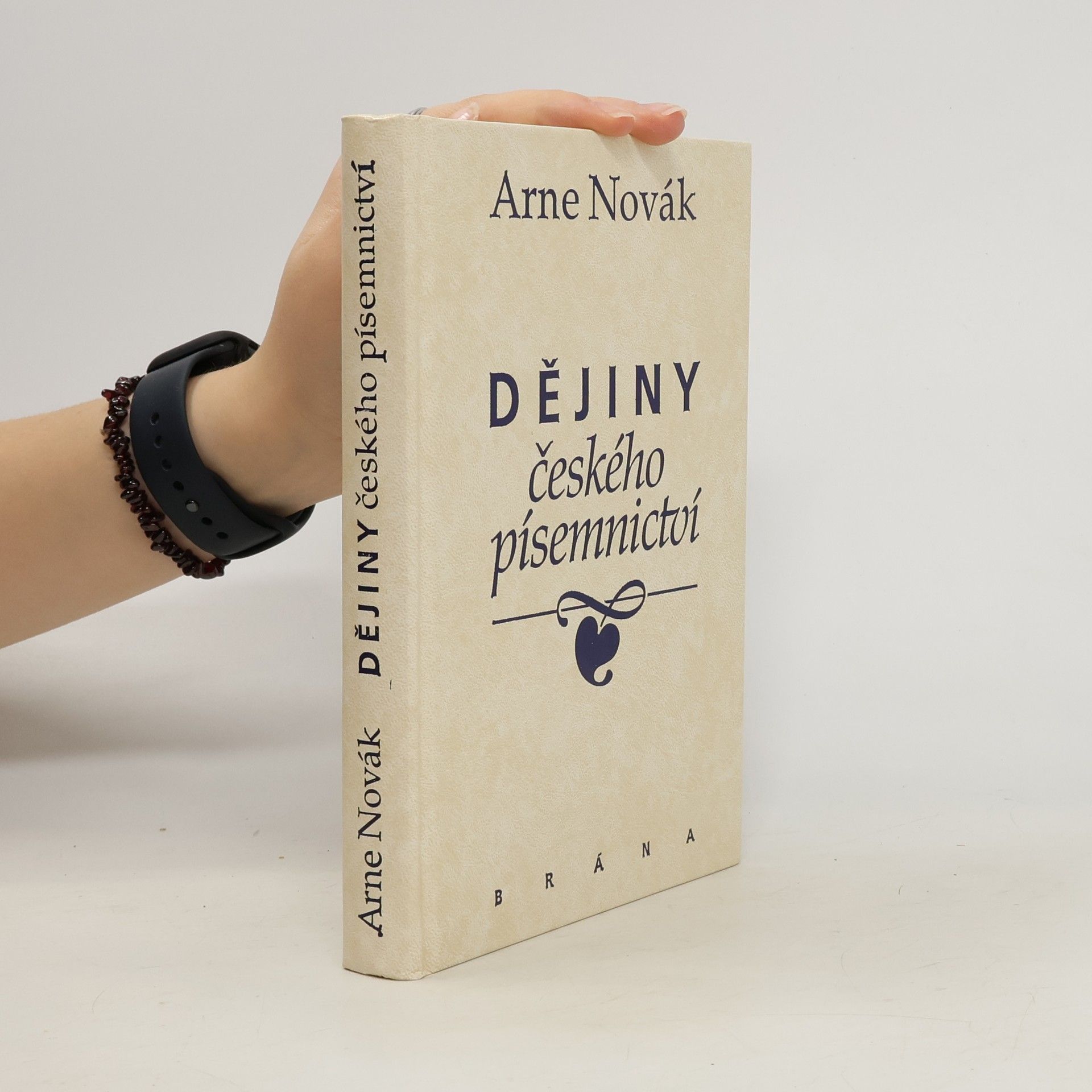 Dějiny českého písemnictví