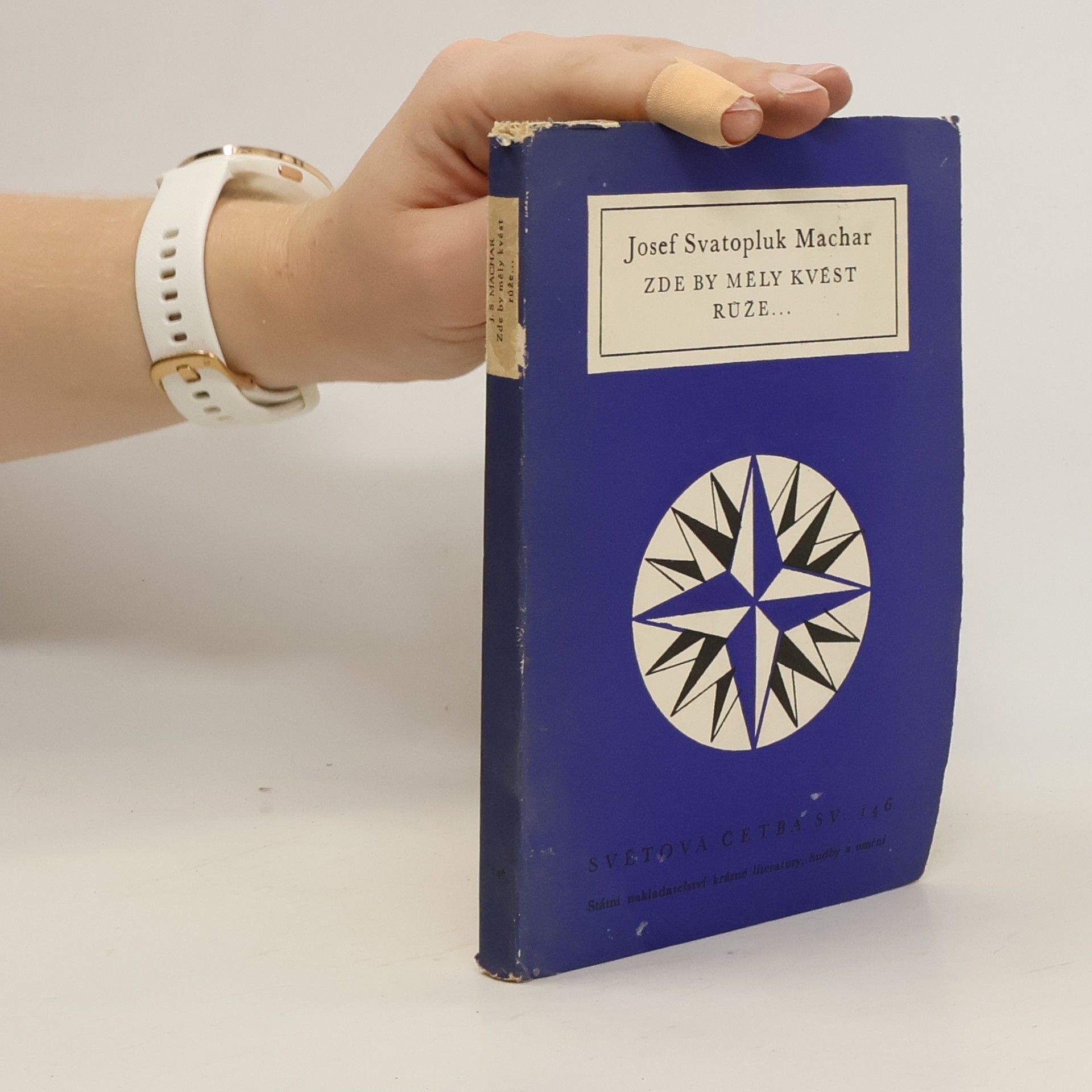 Josef Svatopluk Machar Zde by měly kvést růže