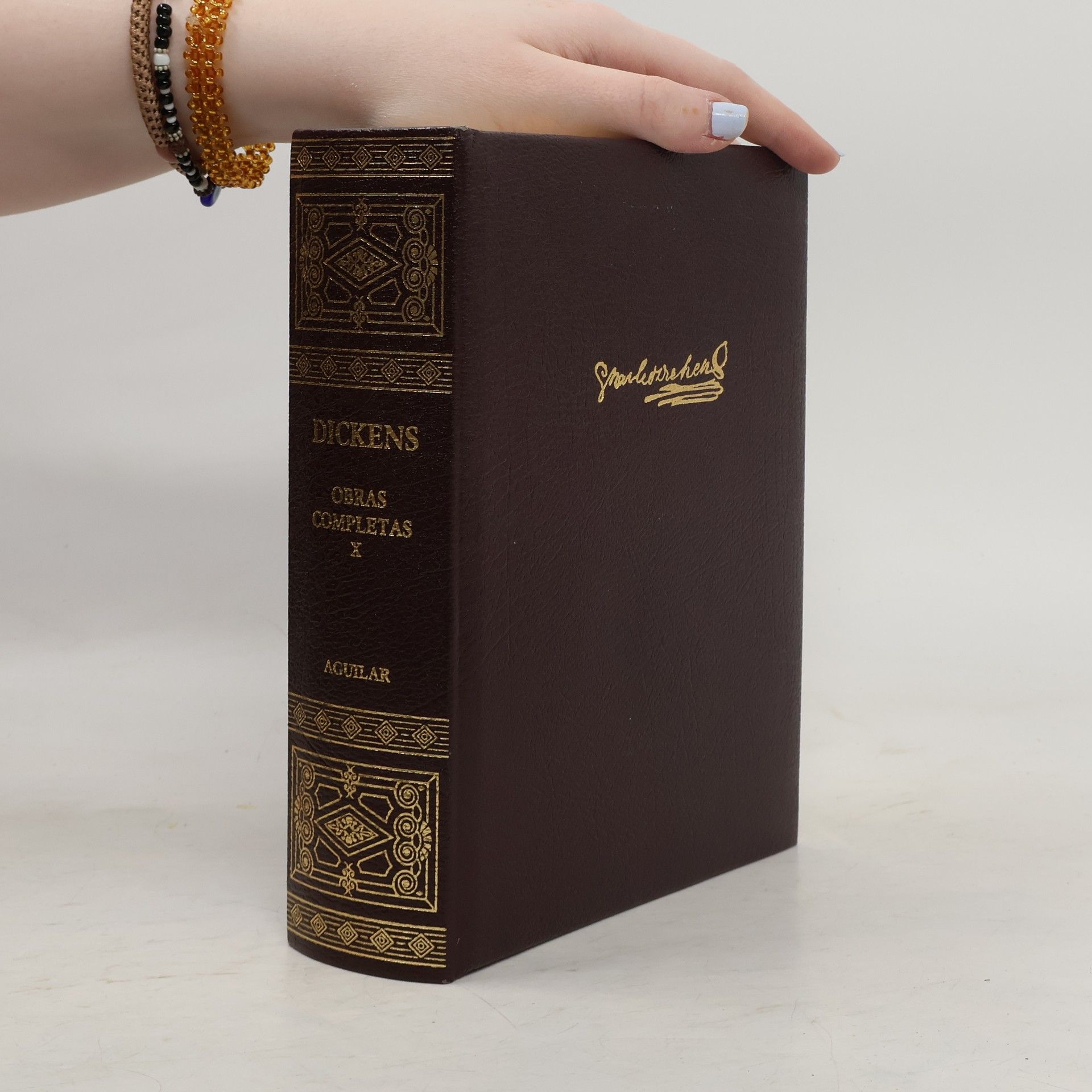 Charles Dickens Obras completas X