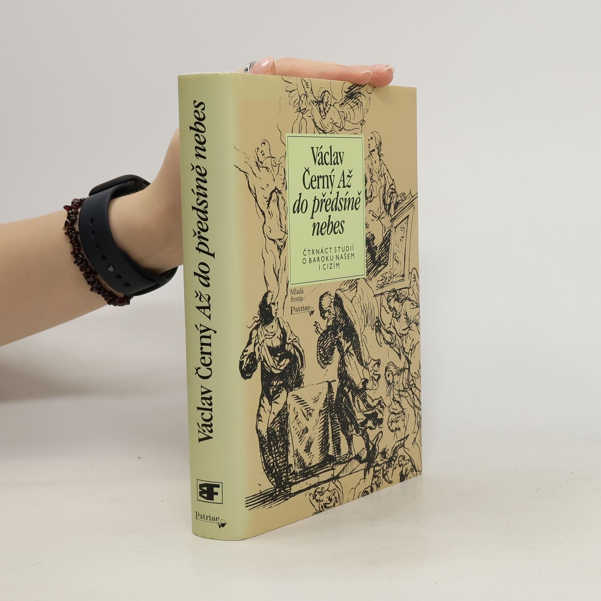 Václav Černý Až do předsíně nebes