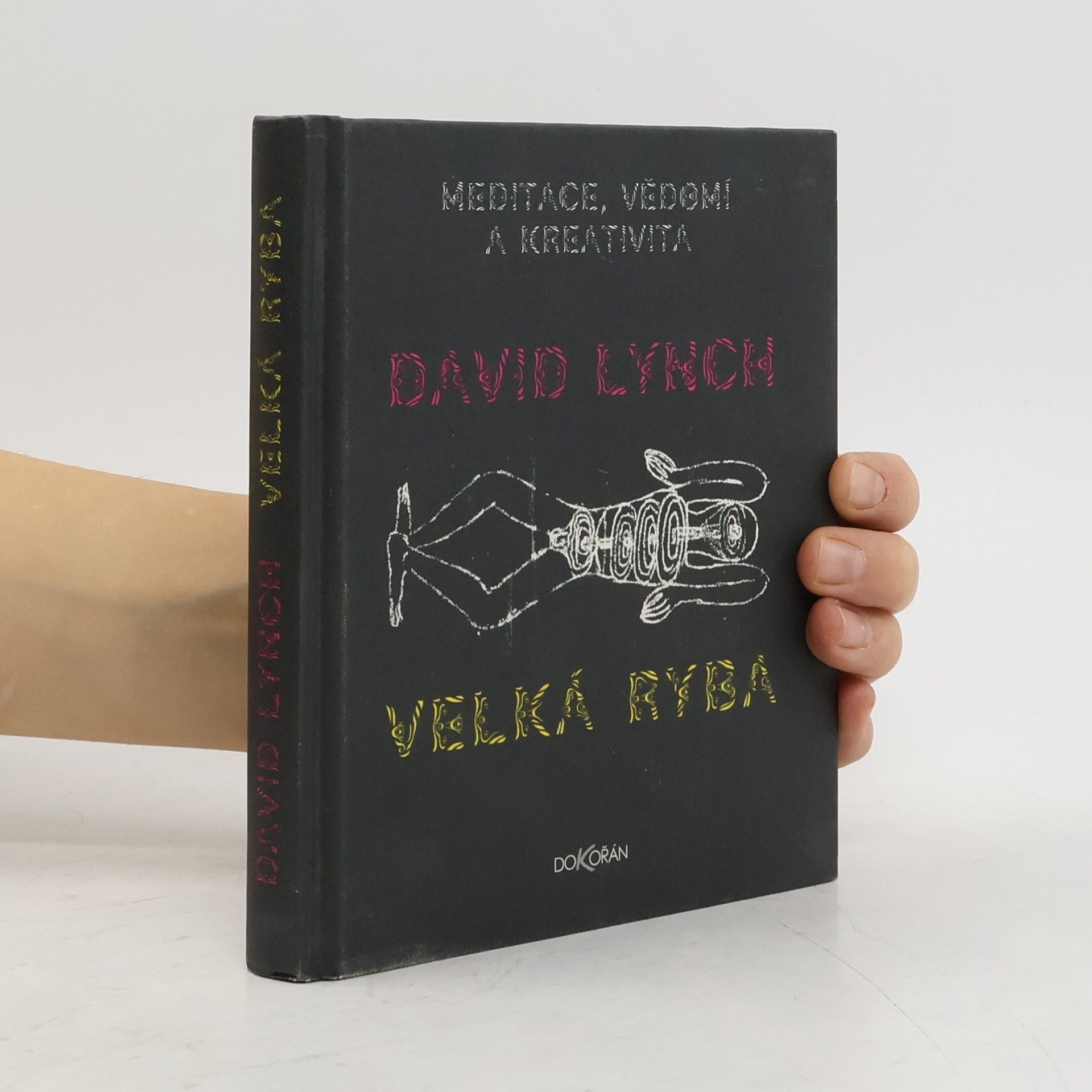 David Lynch Velká ryba: Meditace, vědomí a kreativita