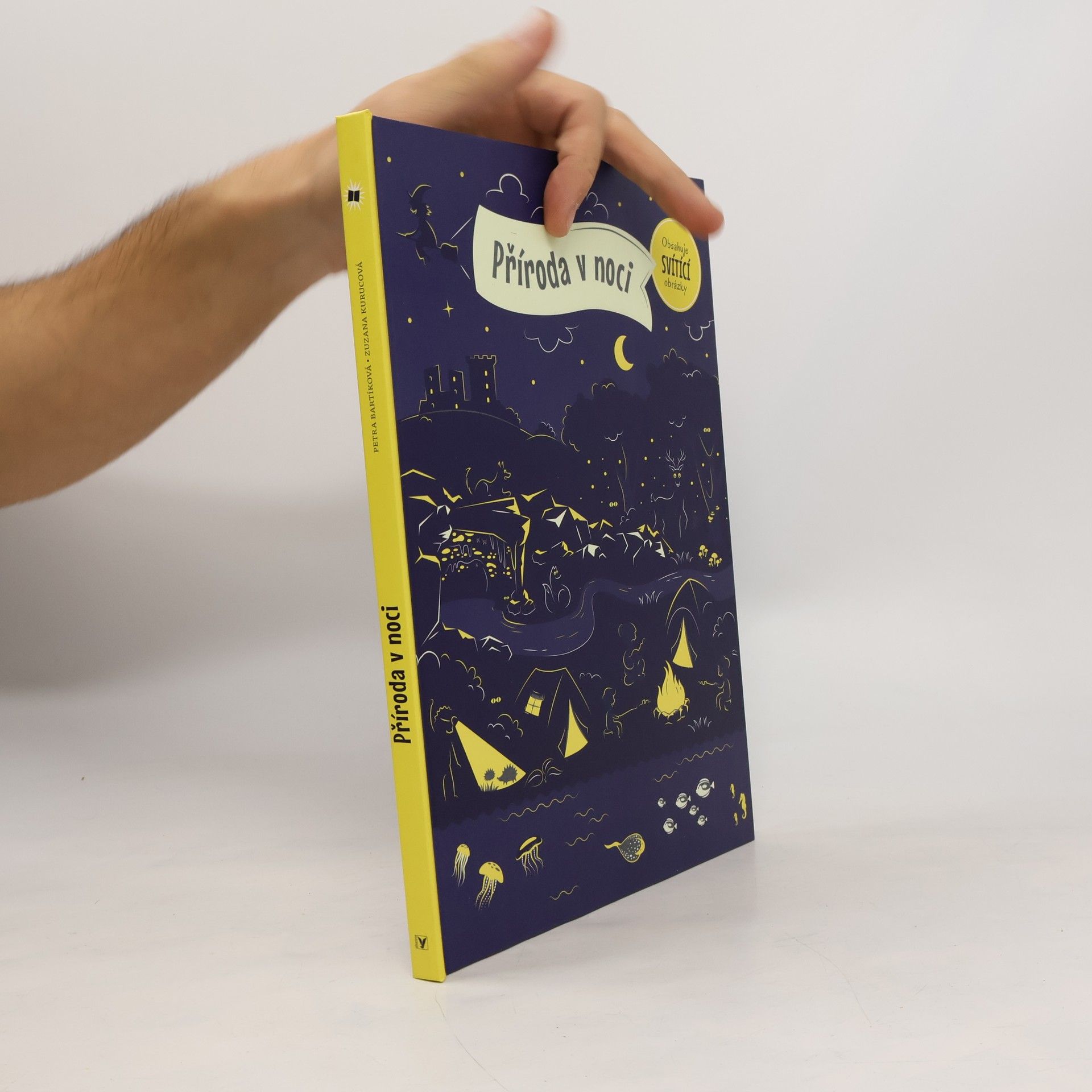 Petra Bartíková Příroda v noci