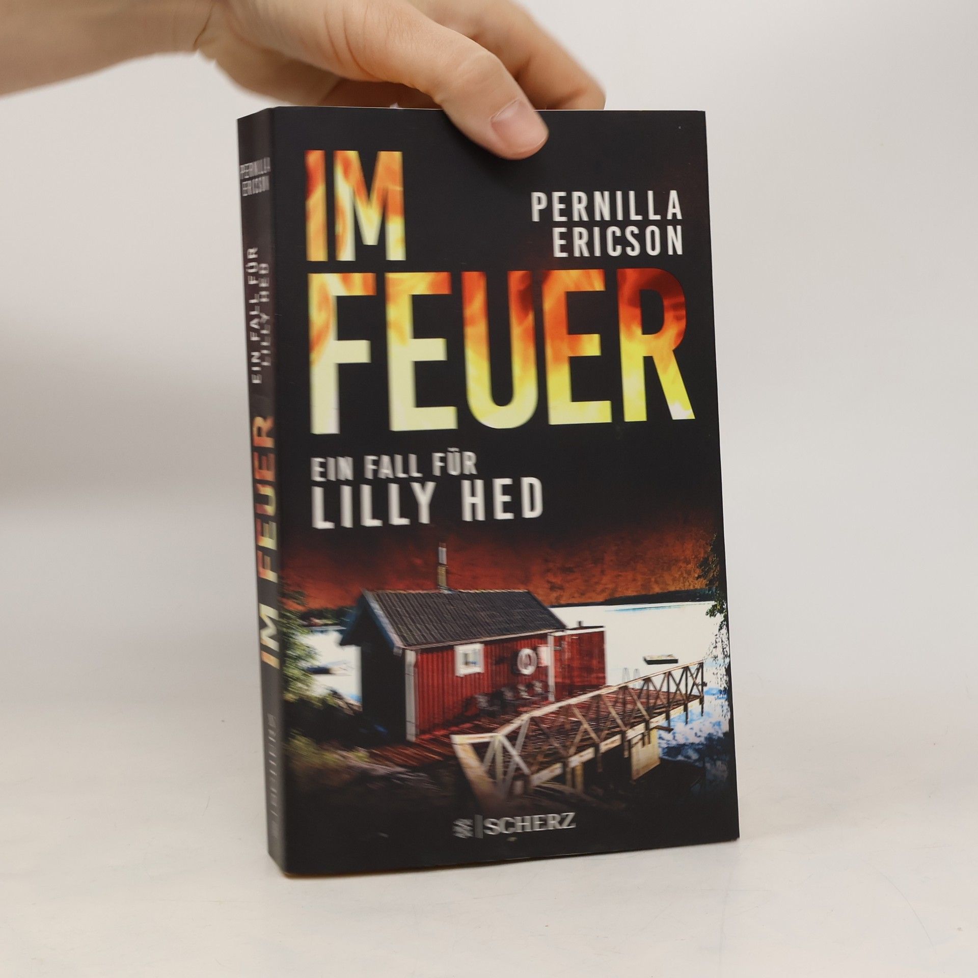 Pernilla Ericson Im Feuer