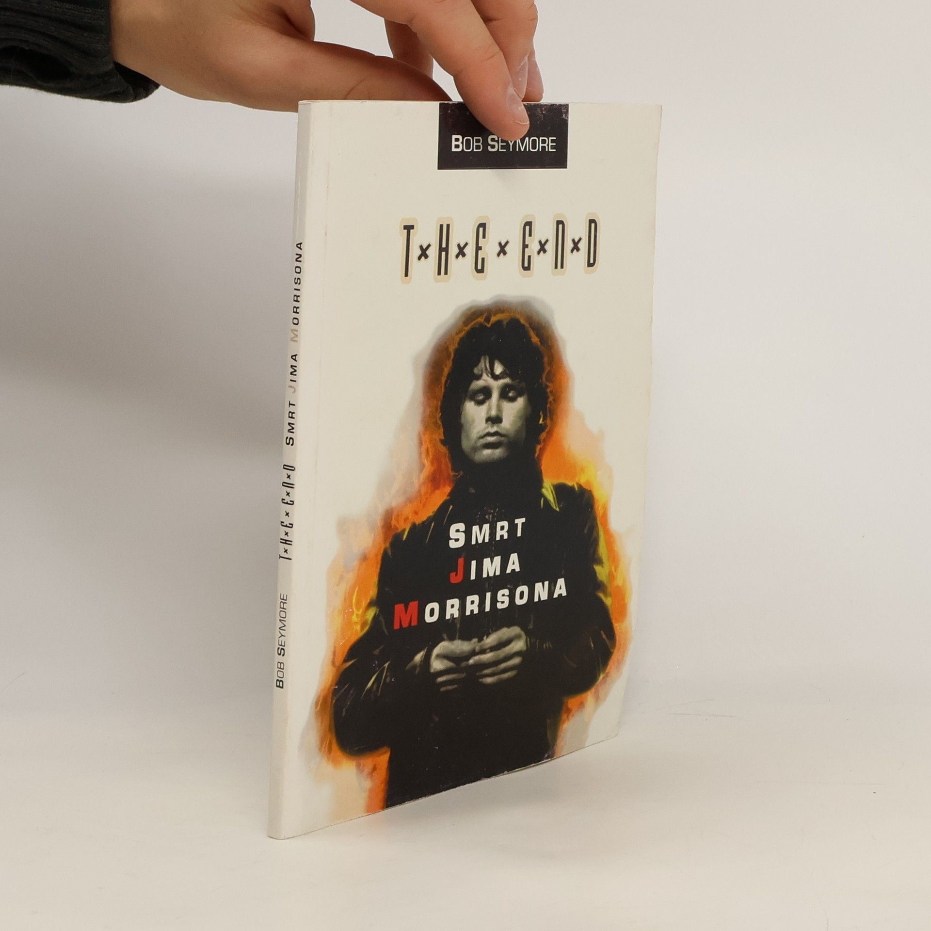 Bob Seymore The End - Smrt Jima Morrisona