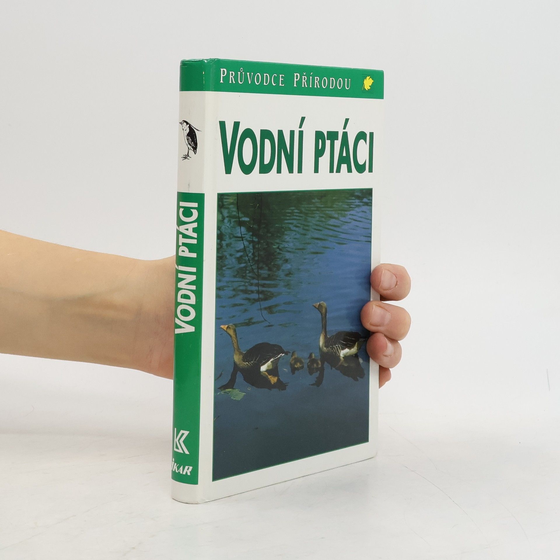 Sauer Frieder Vodní ptáci