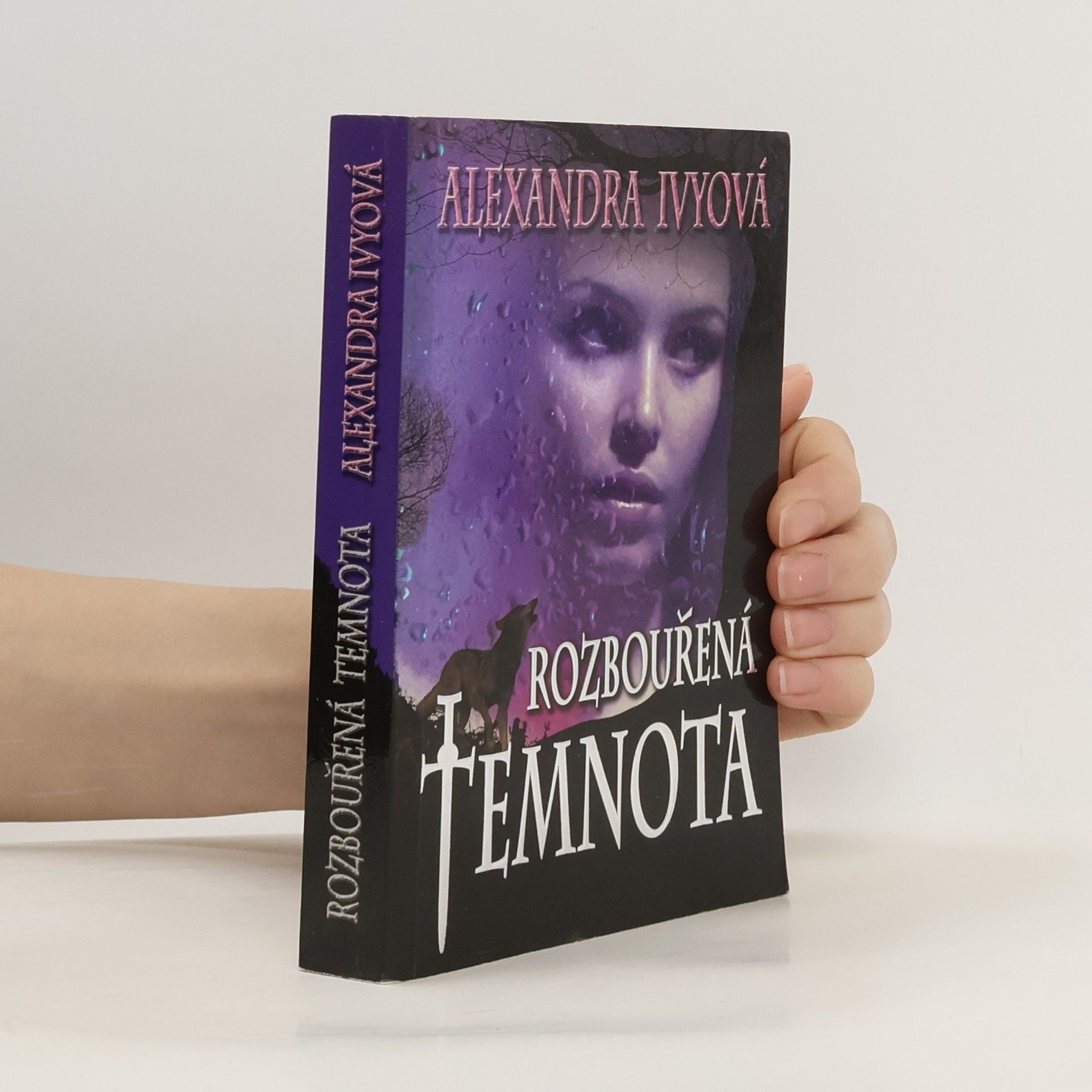 Debbie Raleigh Rozbouřená temnota