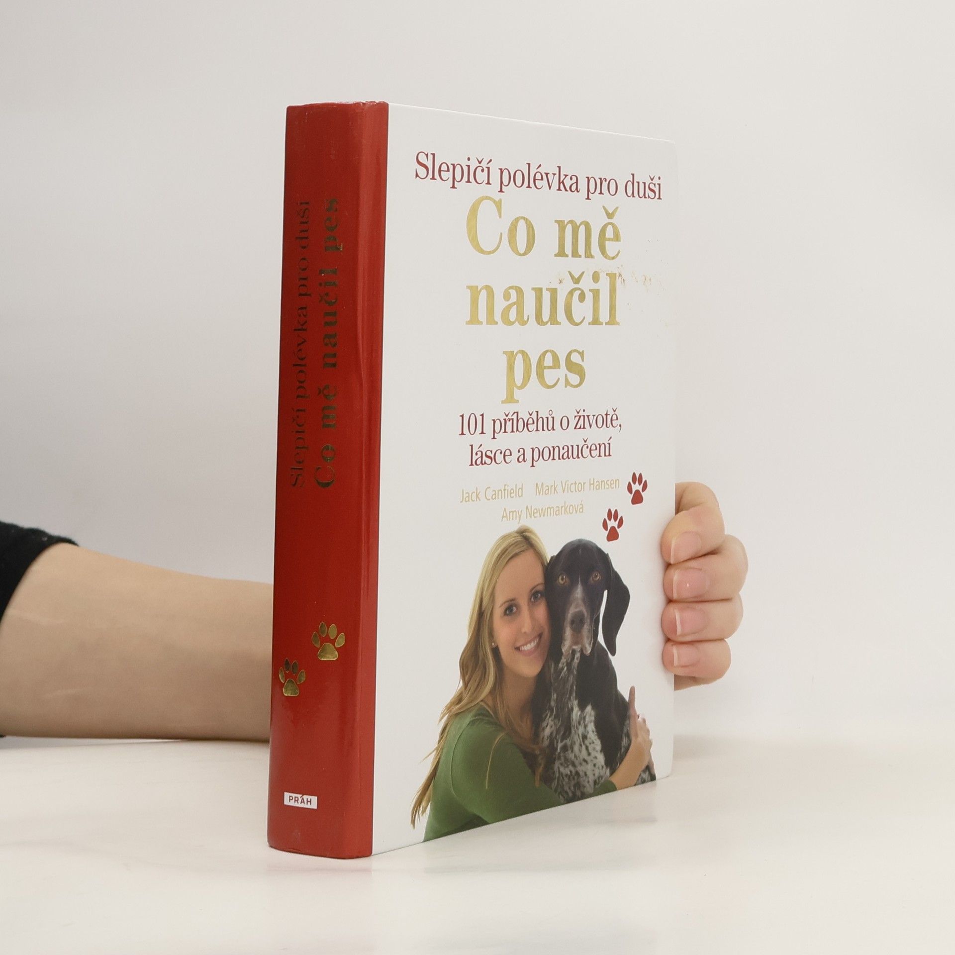 Jack Canfield Slepičí polévka pro duši : co mě naučil pes : 101 příběhů o životě, lásce a ponaučení