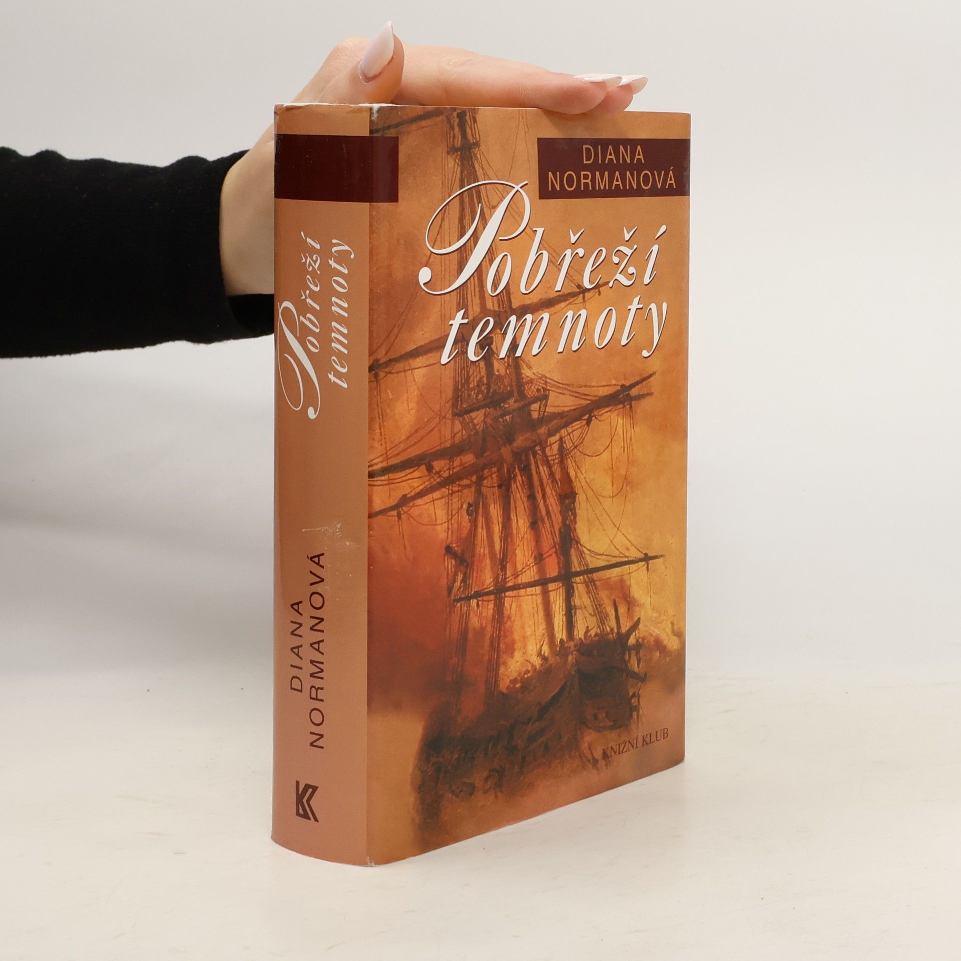 Ariana Franklinová Pobřeží temnoty