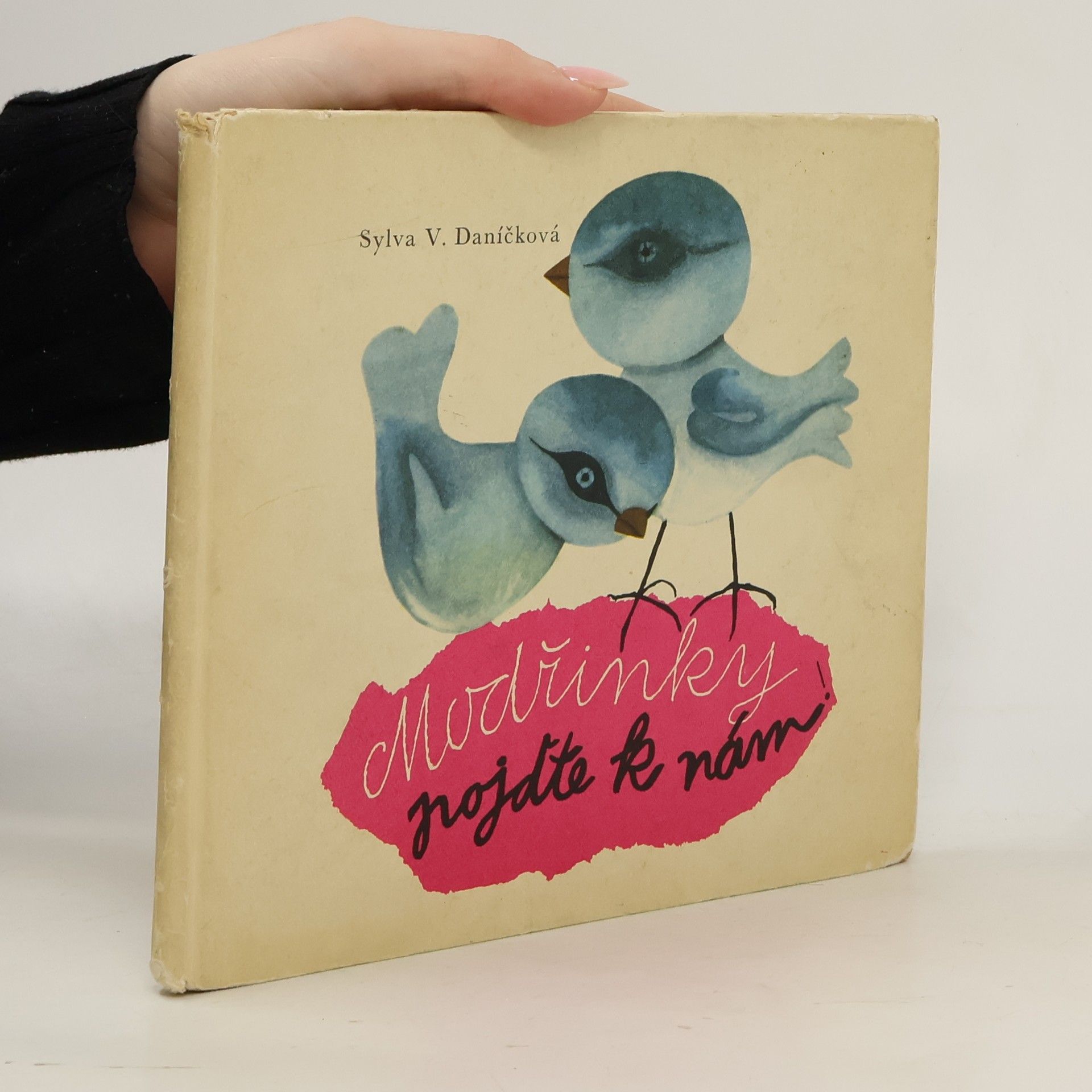 Sylva V. Daníčková Modřinky pojďte k nám