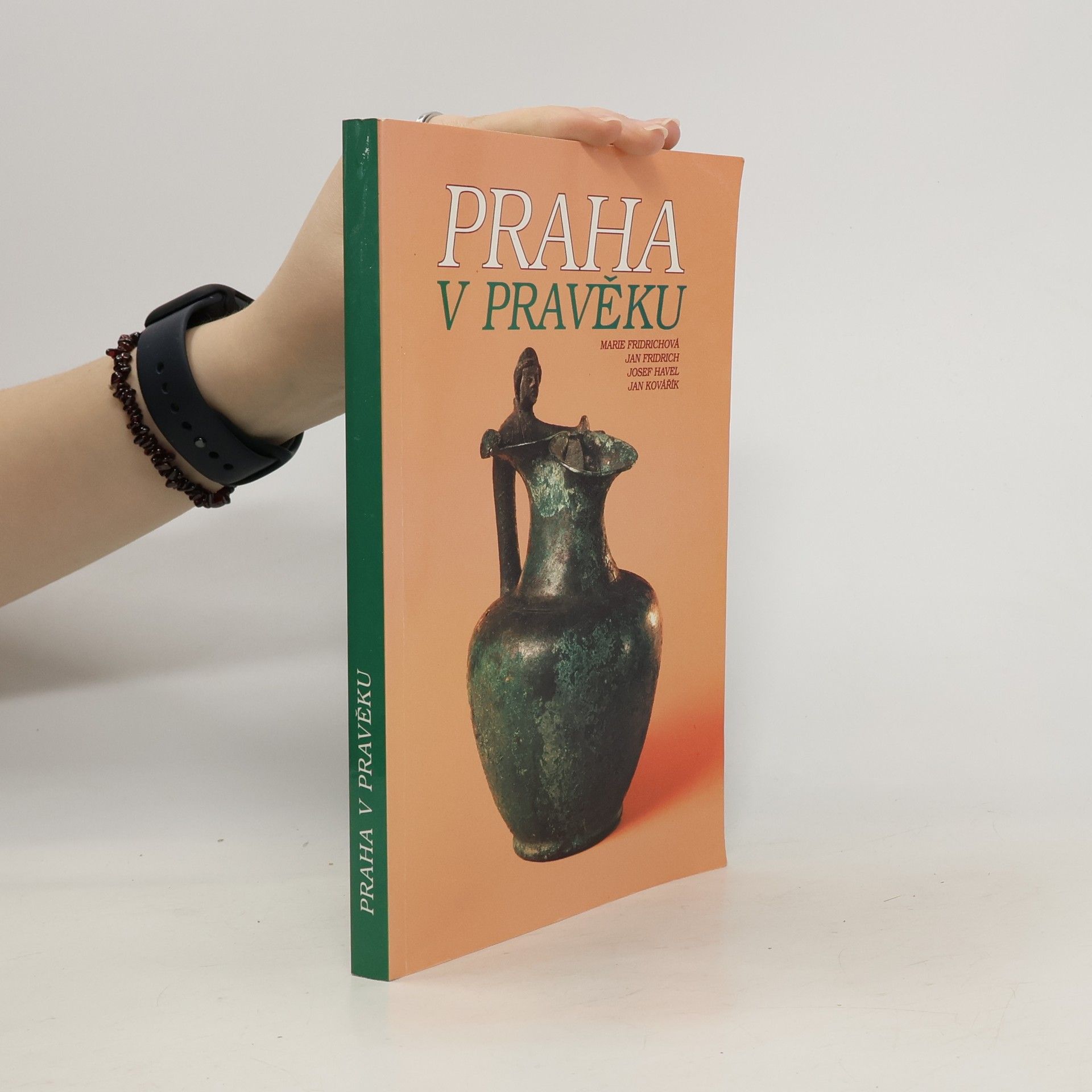 Marie Fridrichová Praha v pravěku