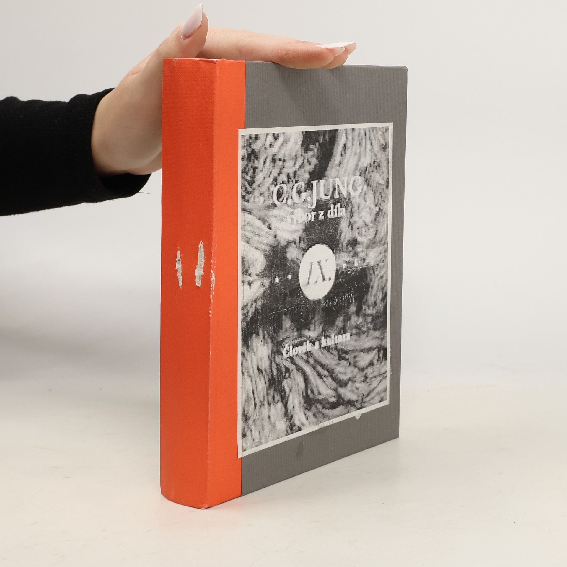 Carl Gustav Jung Výbor z díla. Člověk a kultura