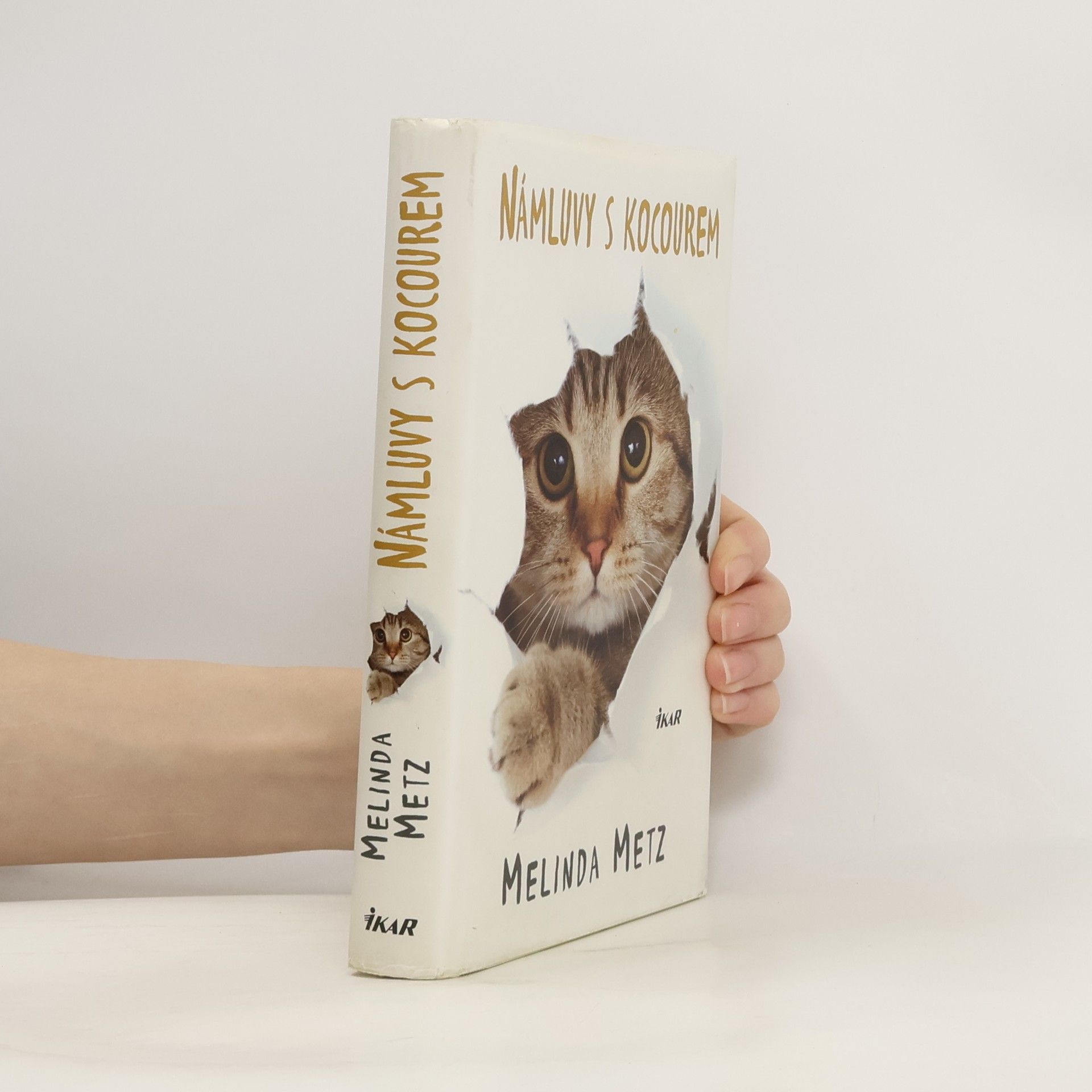 Melinda Metz Námluvy s kocourem