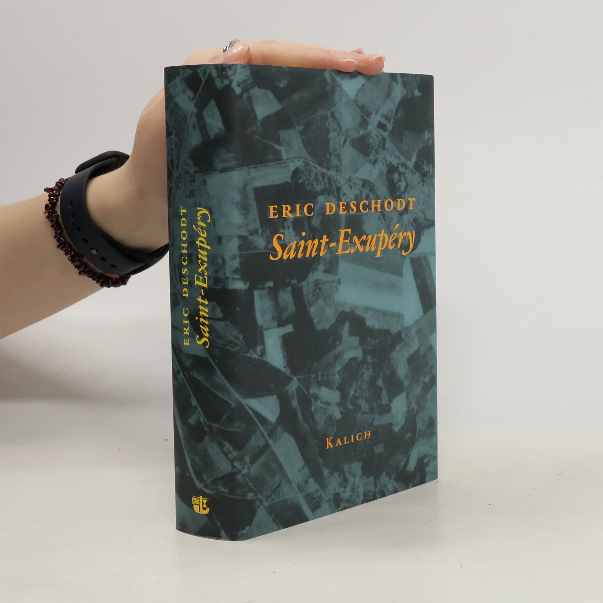 Eric Deschodt Saint-Exupéry