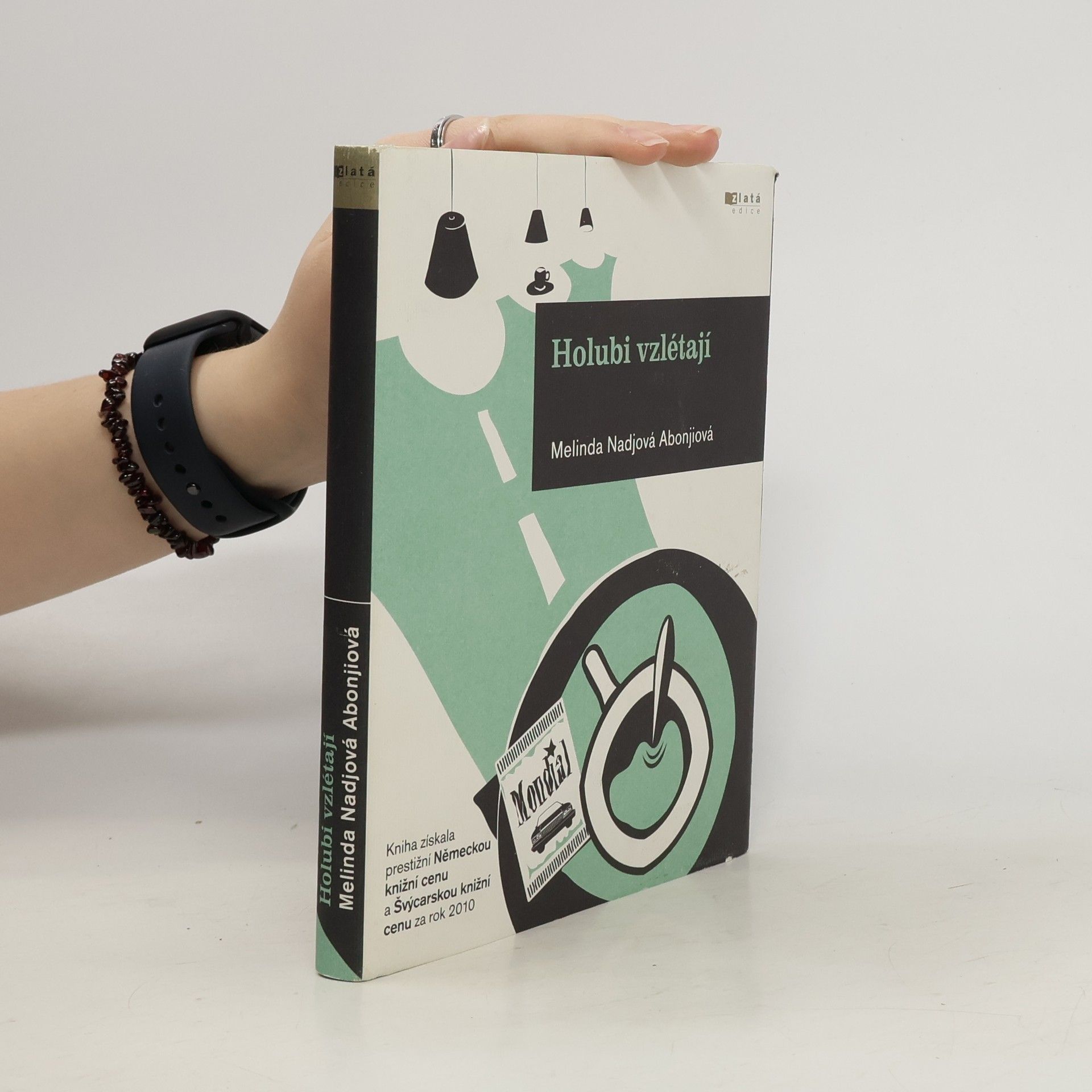 Melinda Nadj Abonji Holubi vzlétají