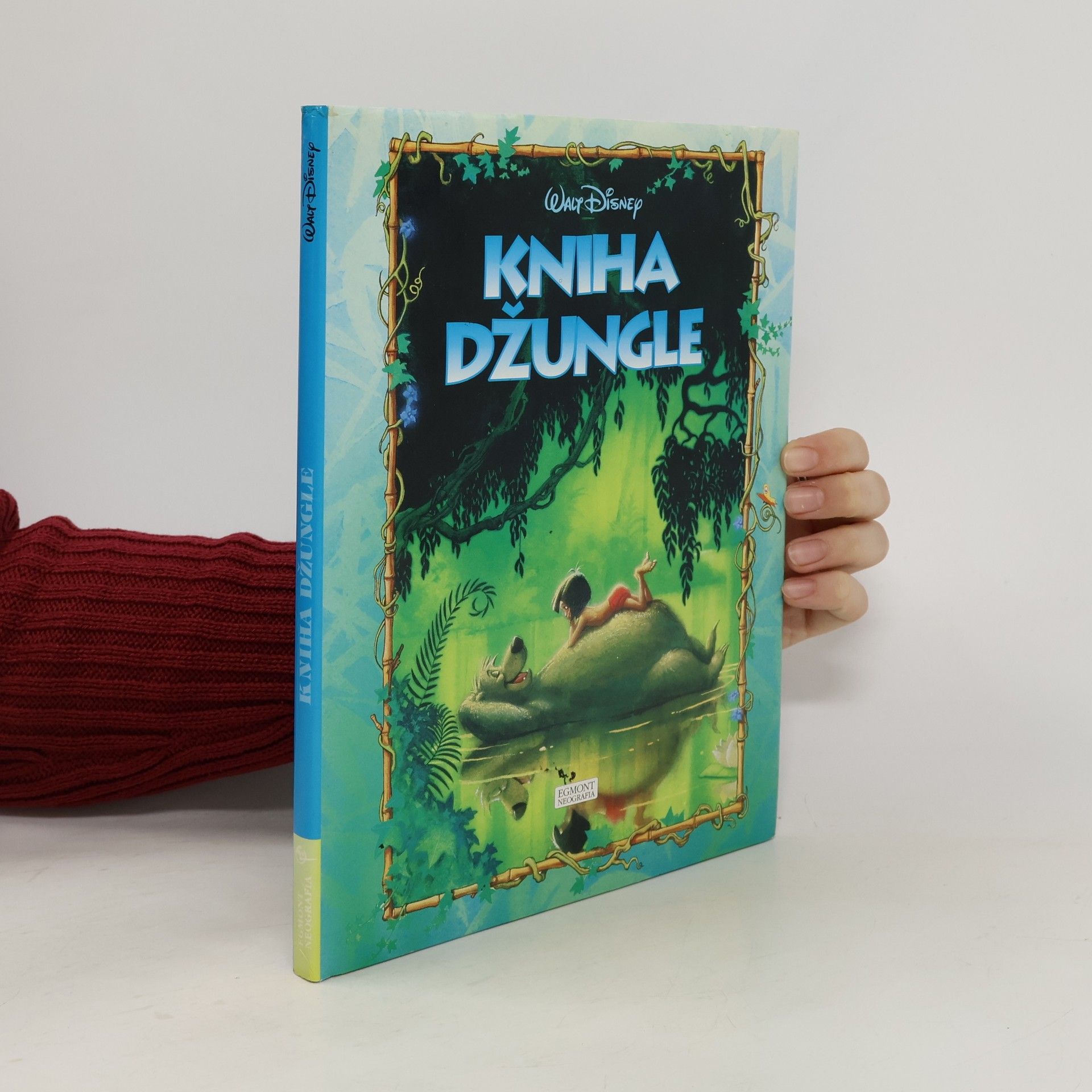 Jim Razzi Kniha džungle