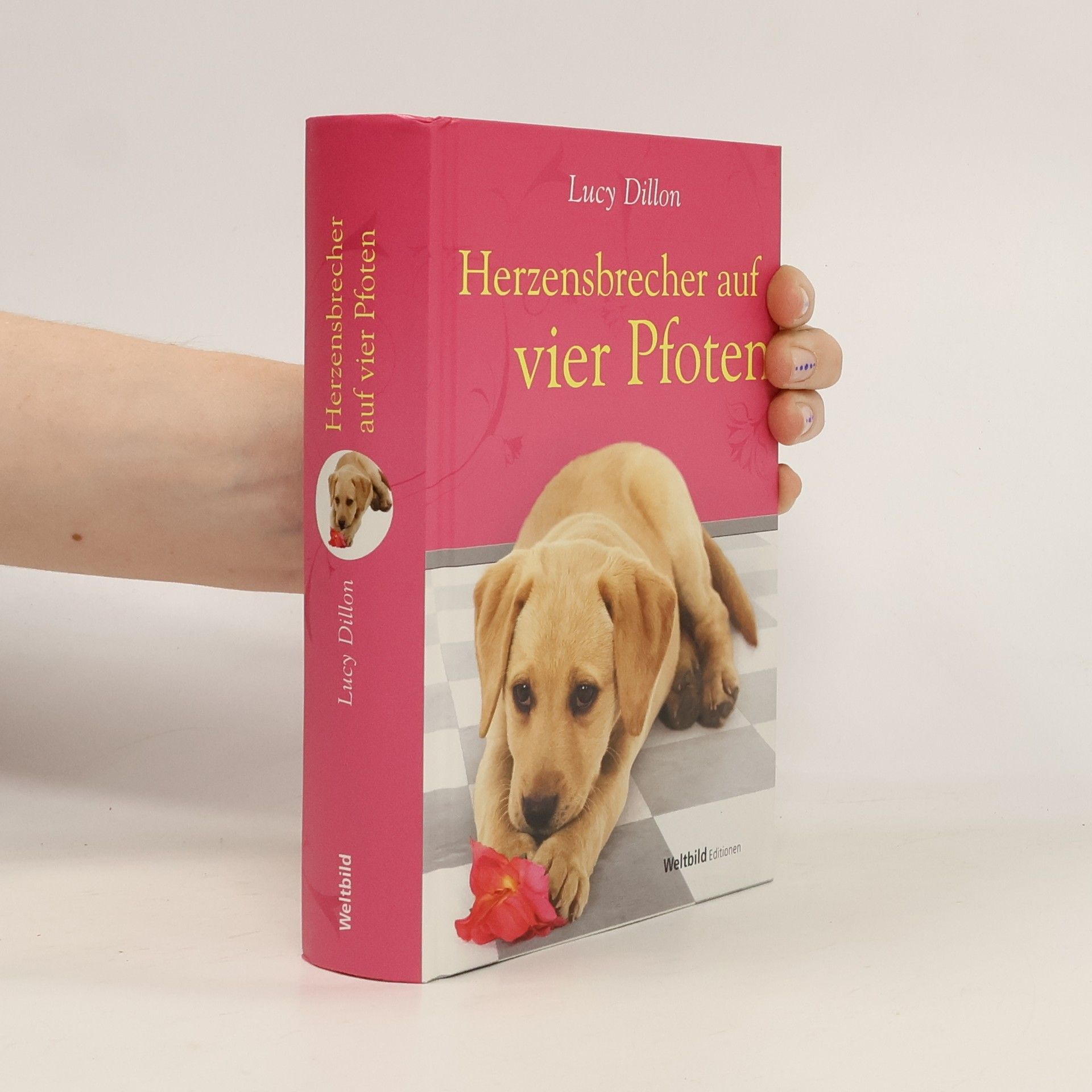 Lucy Dillon Herzensbrecher auf vier Pfoten