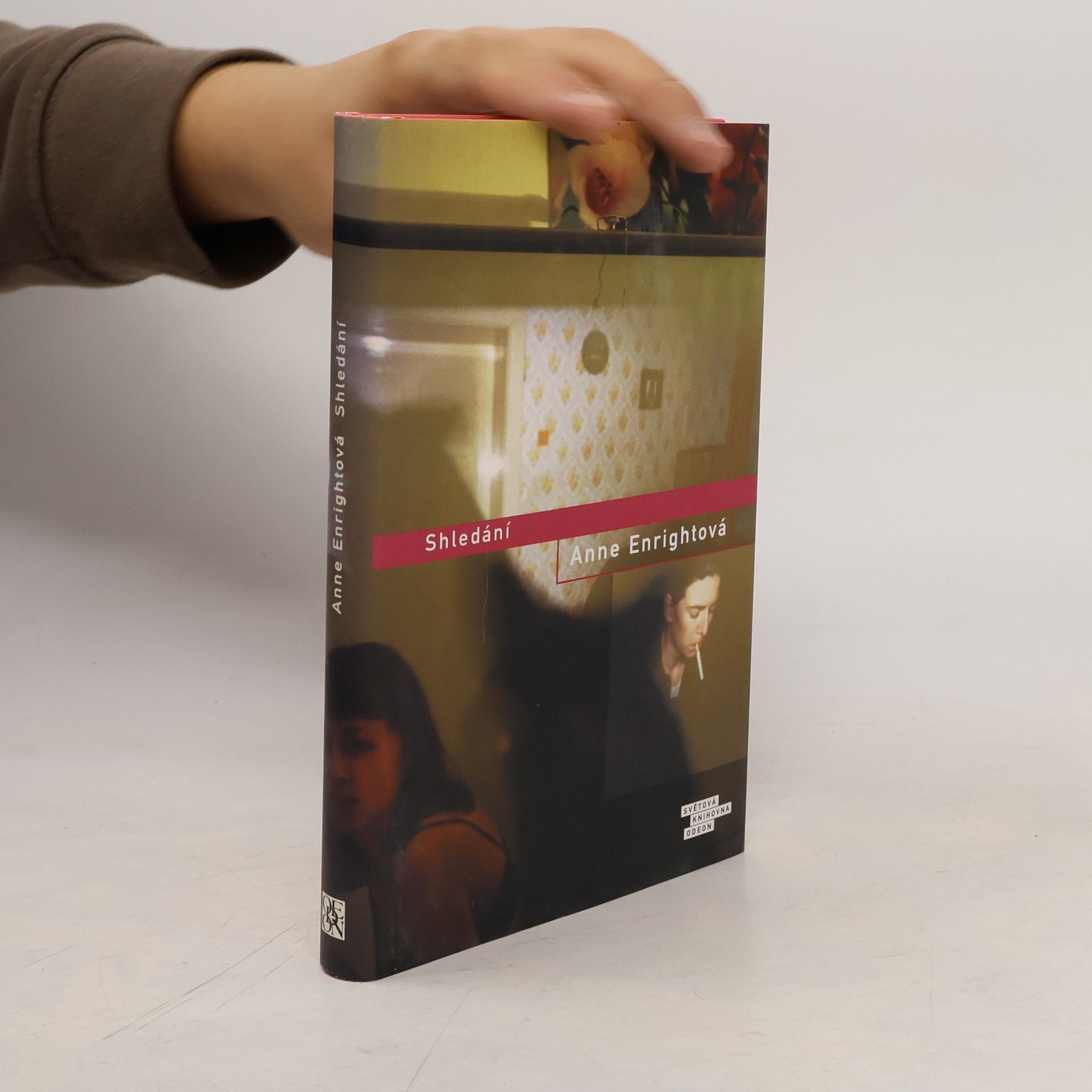 Anne Enright Shledání