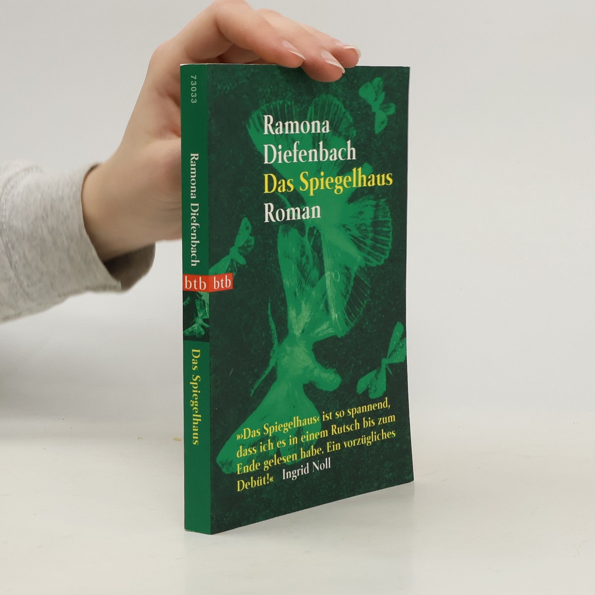 Ramona Diefenbach Das Spiegelhaus