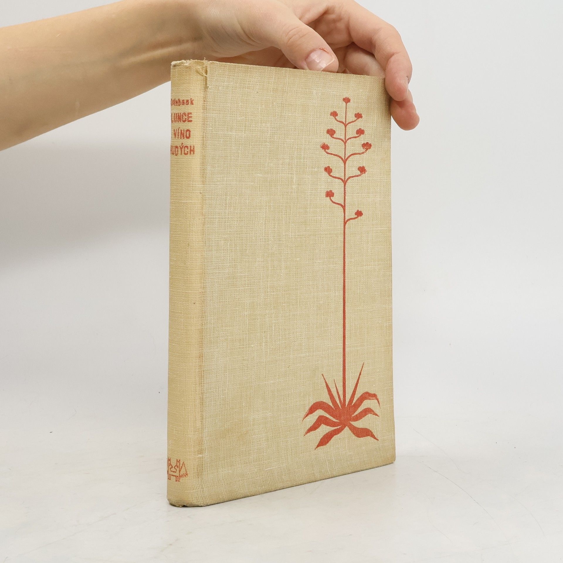 Slunce a víno chudých