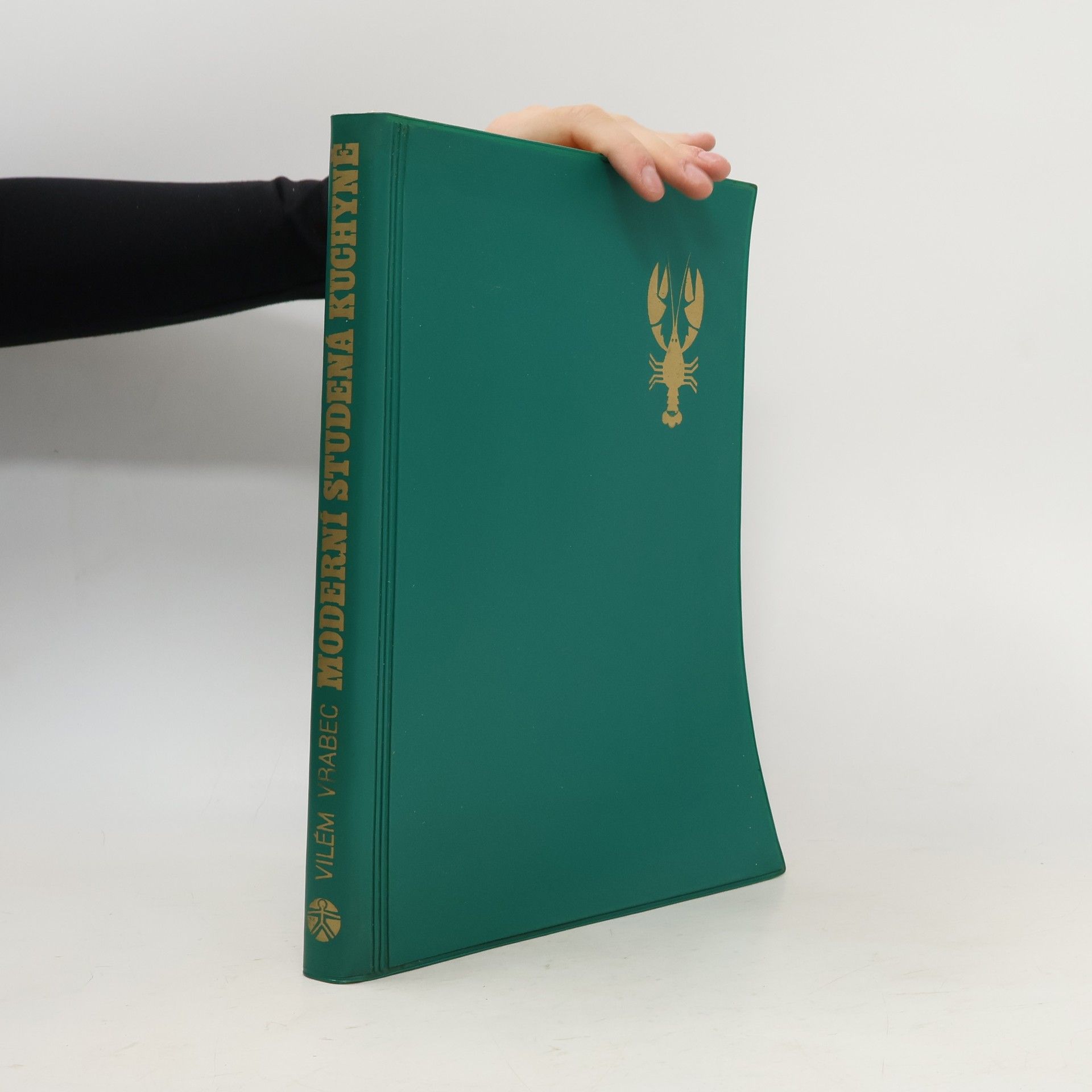 Vilém Vrabec Moderní studená kuchyně