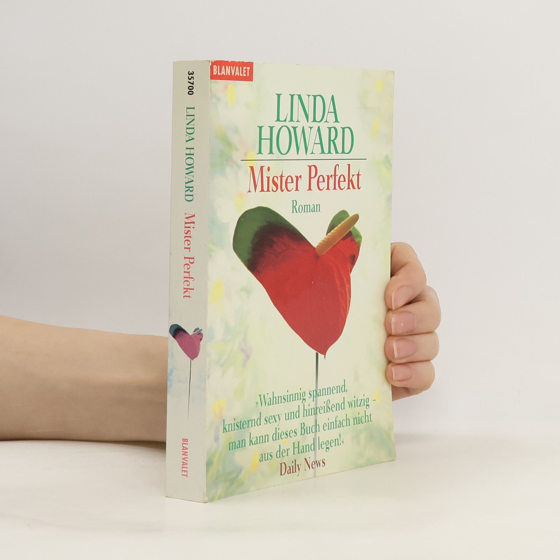 Linda Howard Mister Perfekt