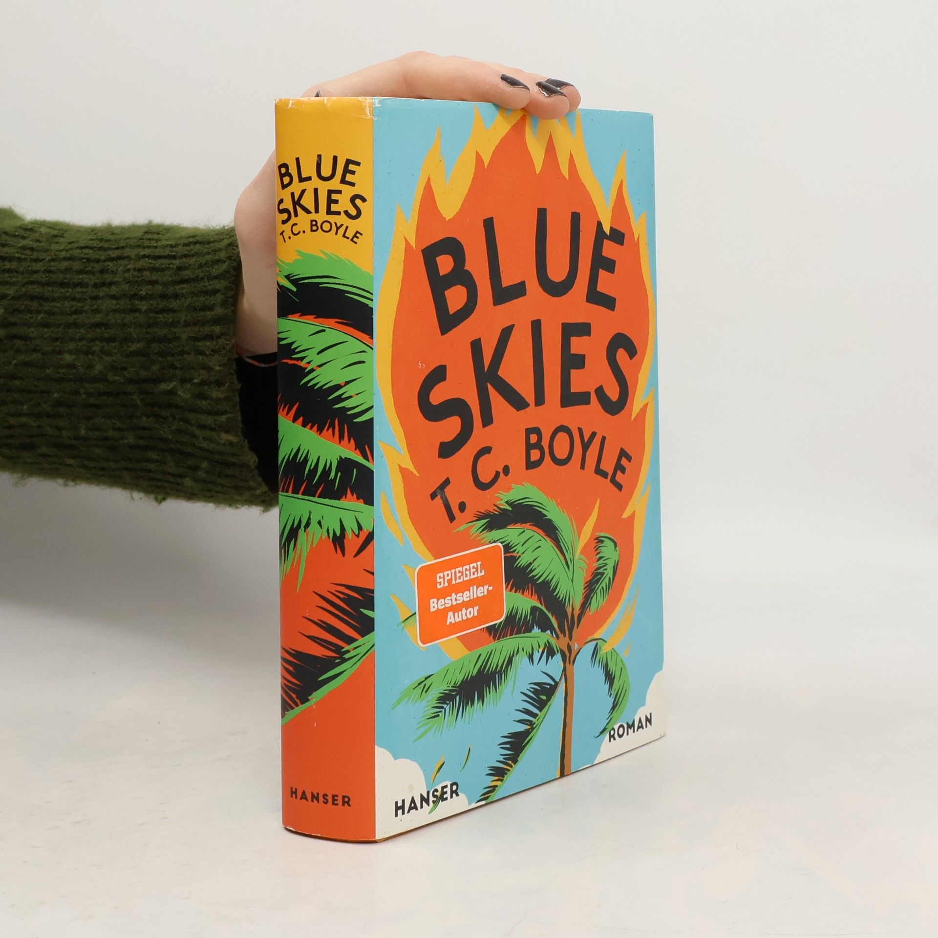 Tom Coraghessan Boyle Blue Skies