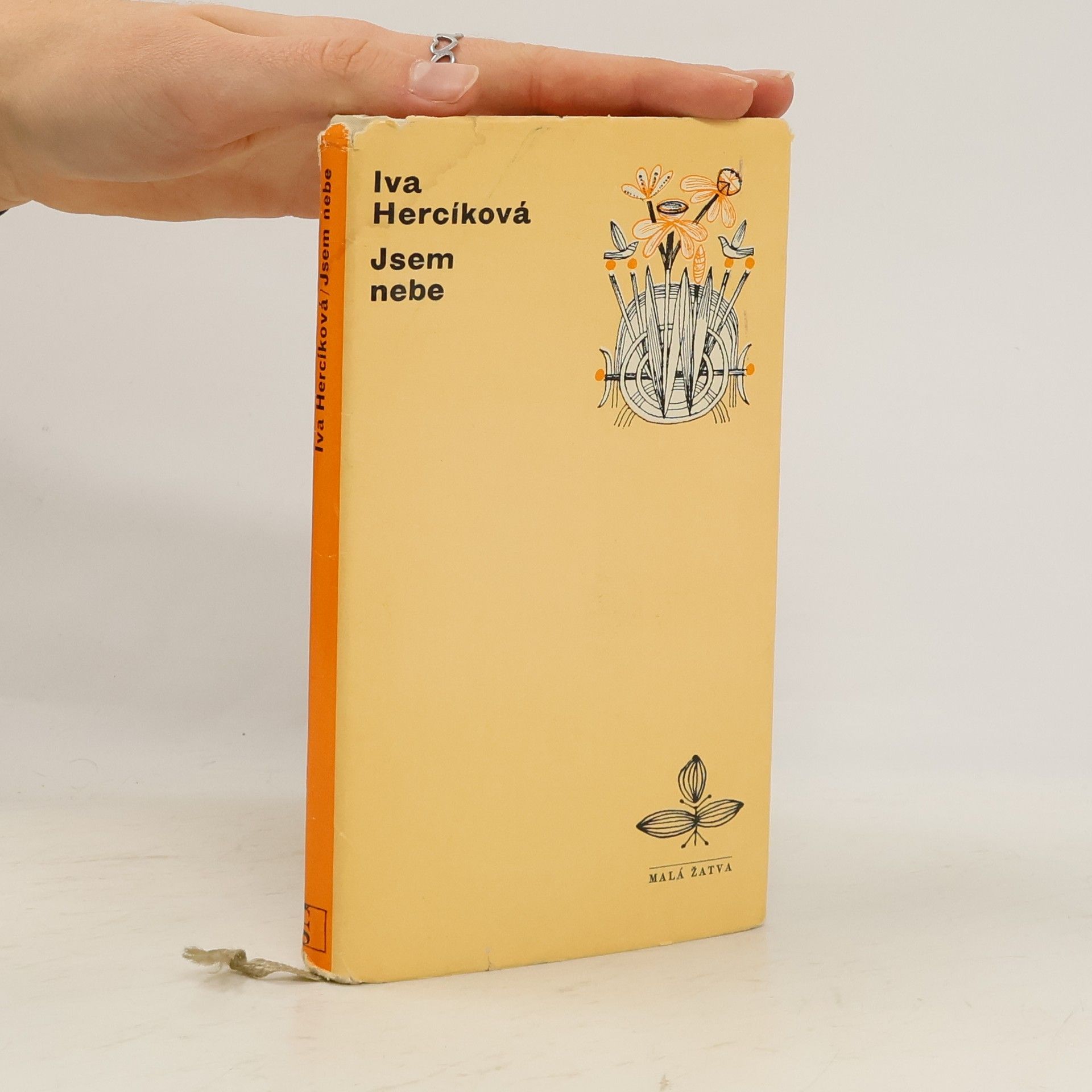Iva Hercíková Jsem nebe