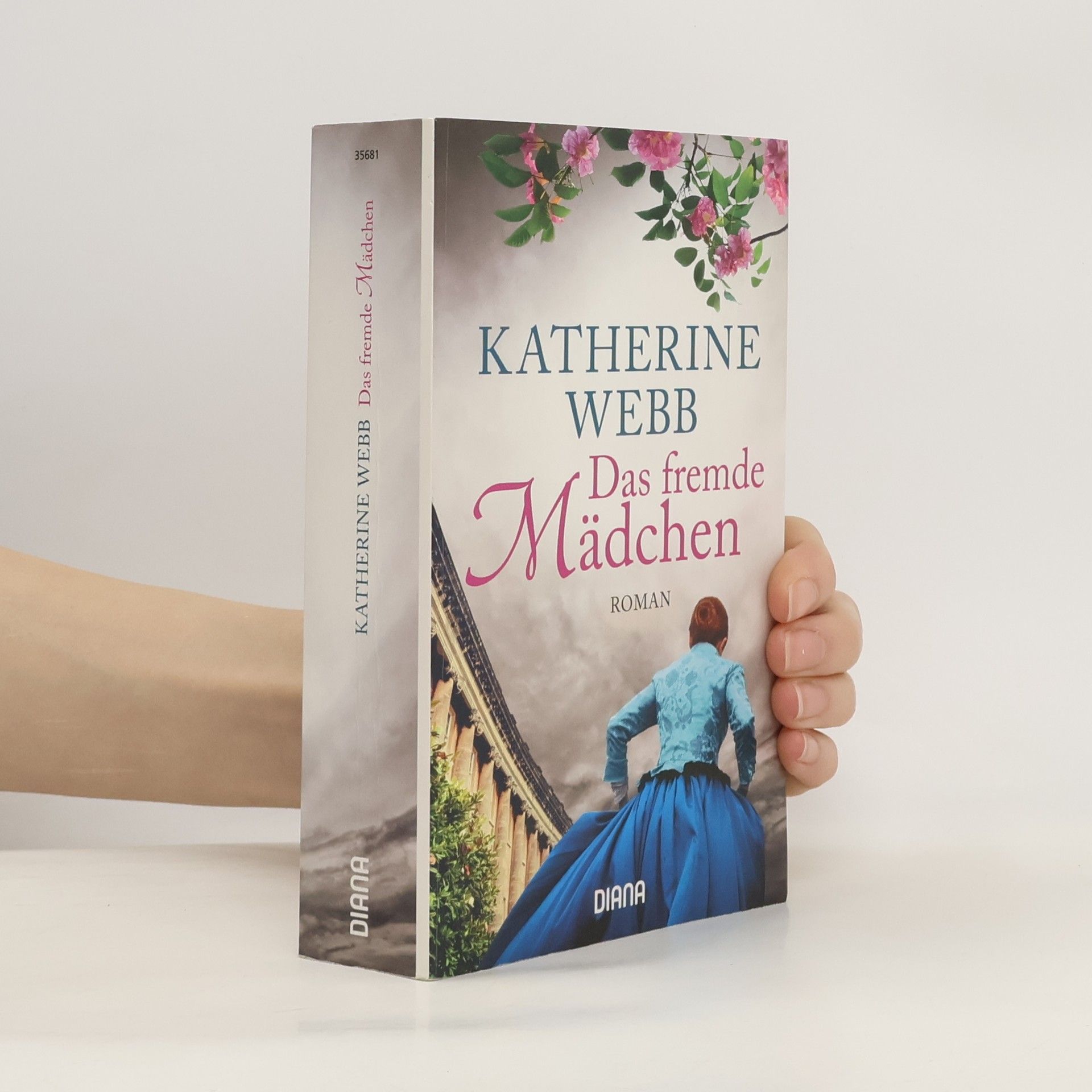 Katherine Webb Das fremde Mädchen
