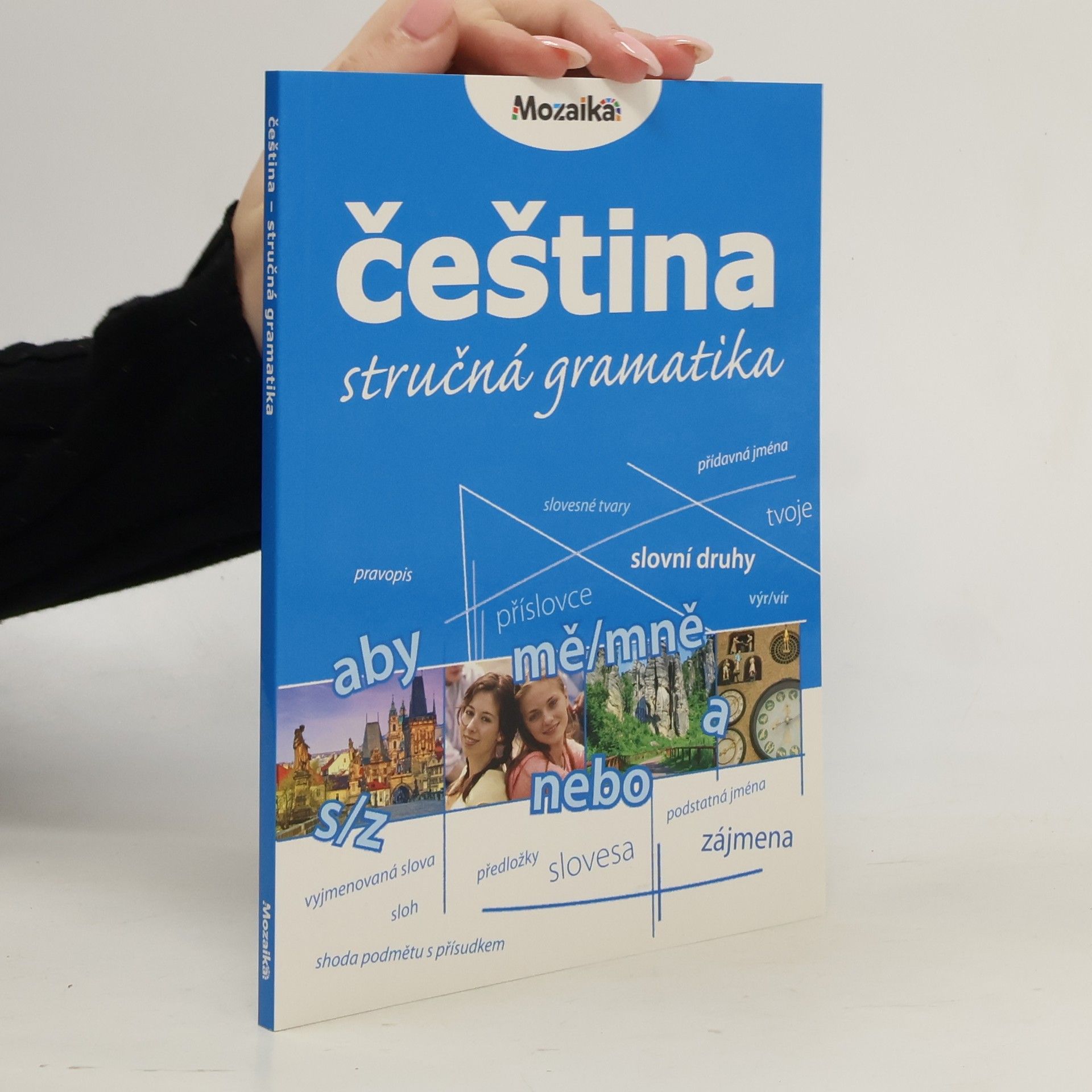 Čeština. Stručná gramatika