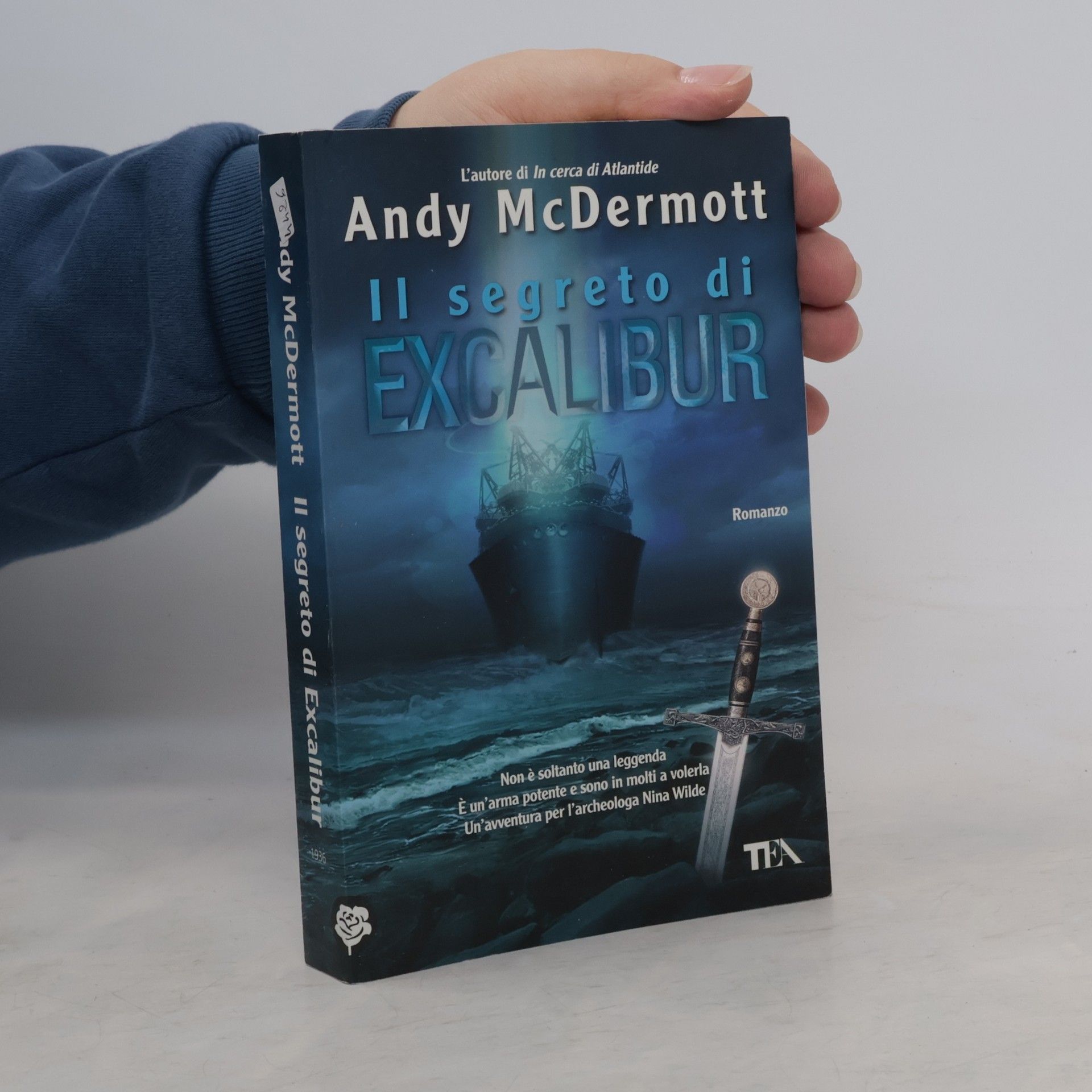 Stefano Tettamanti Il segreto di Excalibur