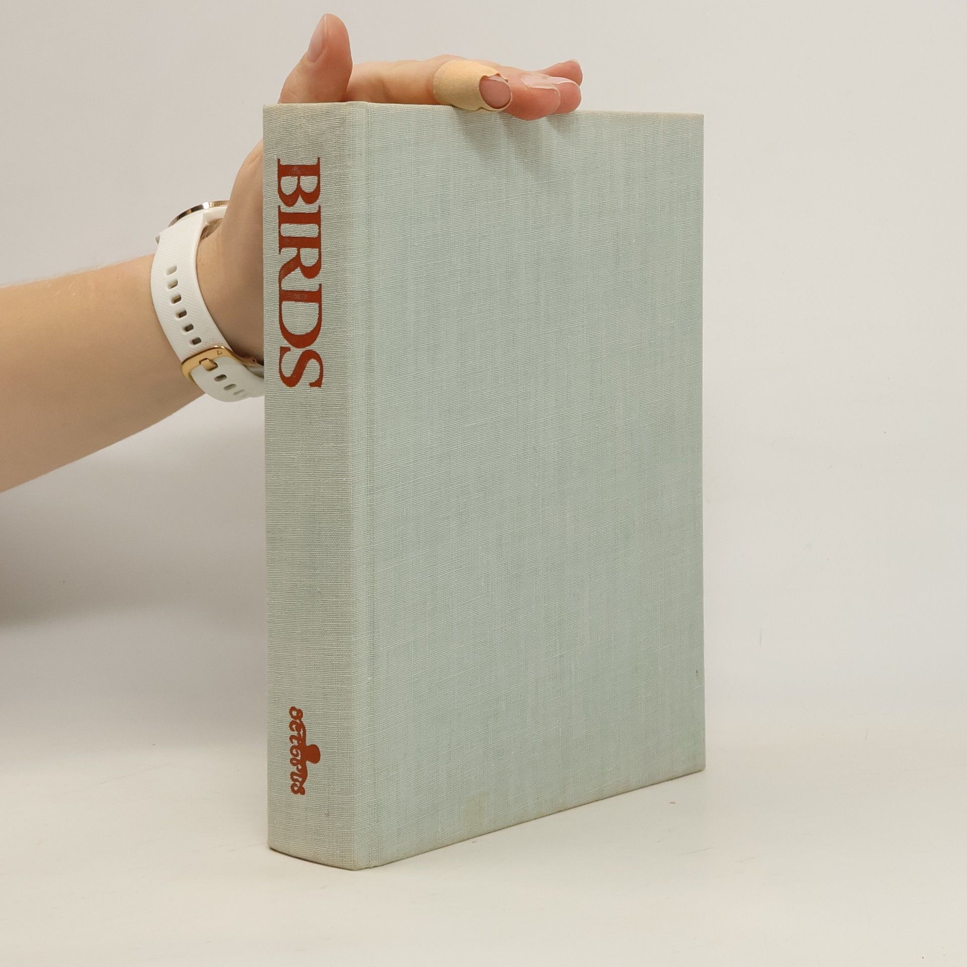 Collectif d'auteurs Birds