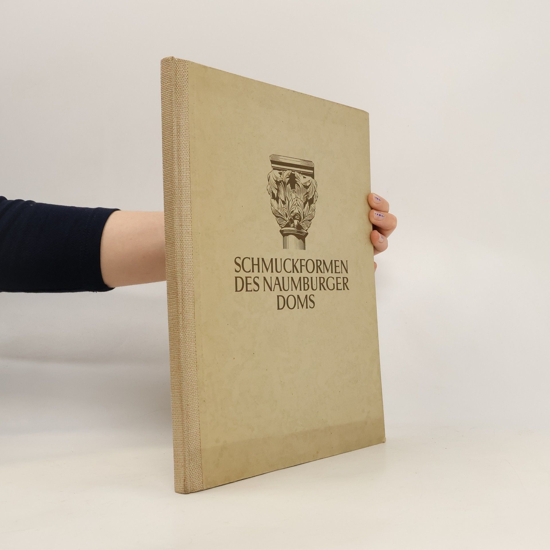 Johannes Jahn Schmuckformen des Naumburger Doms