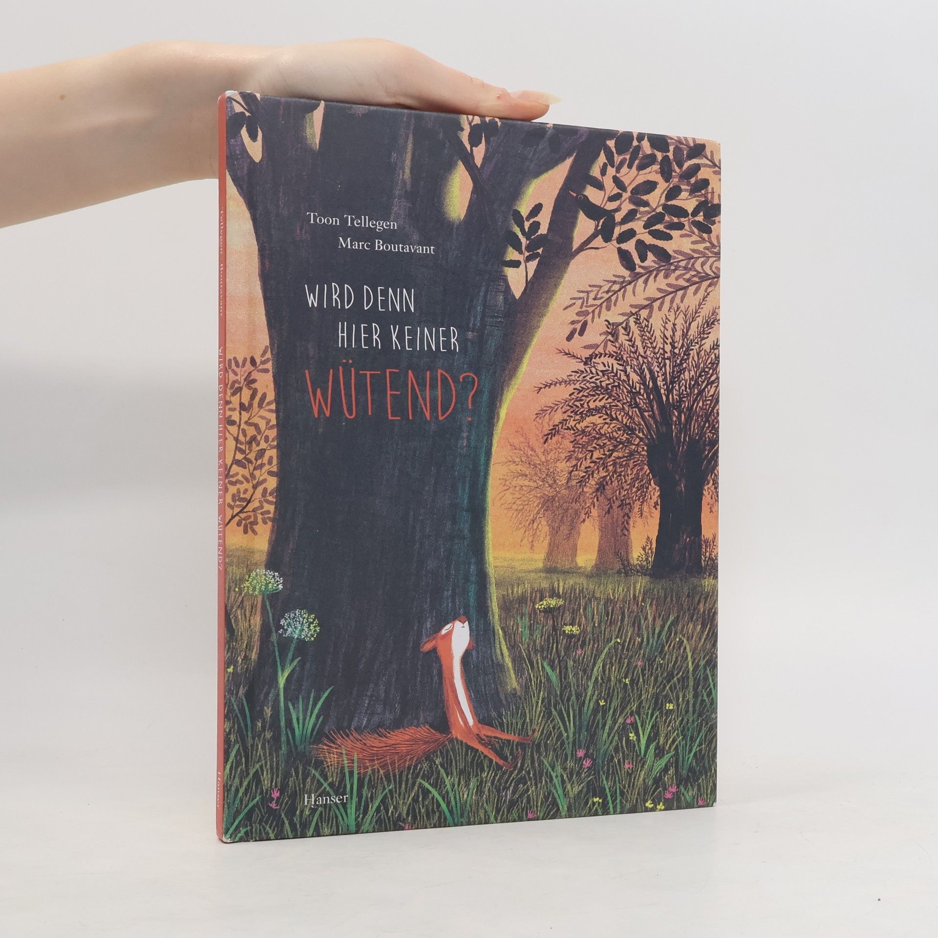 Toon Tellegen Wird denn hier keiner wütend?