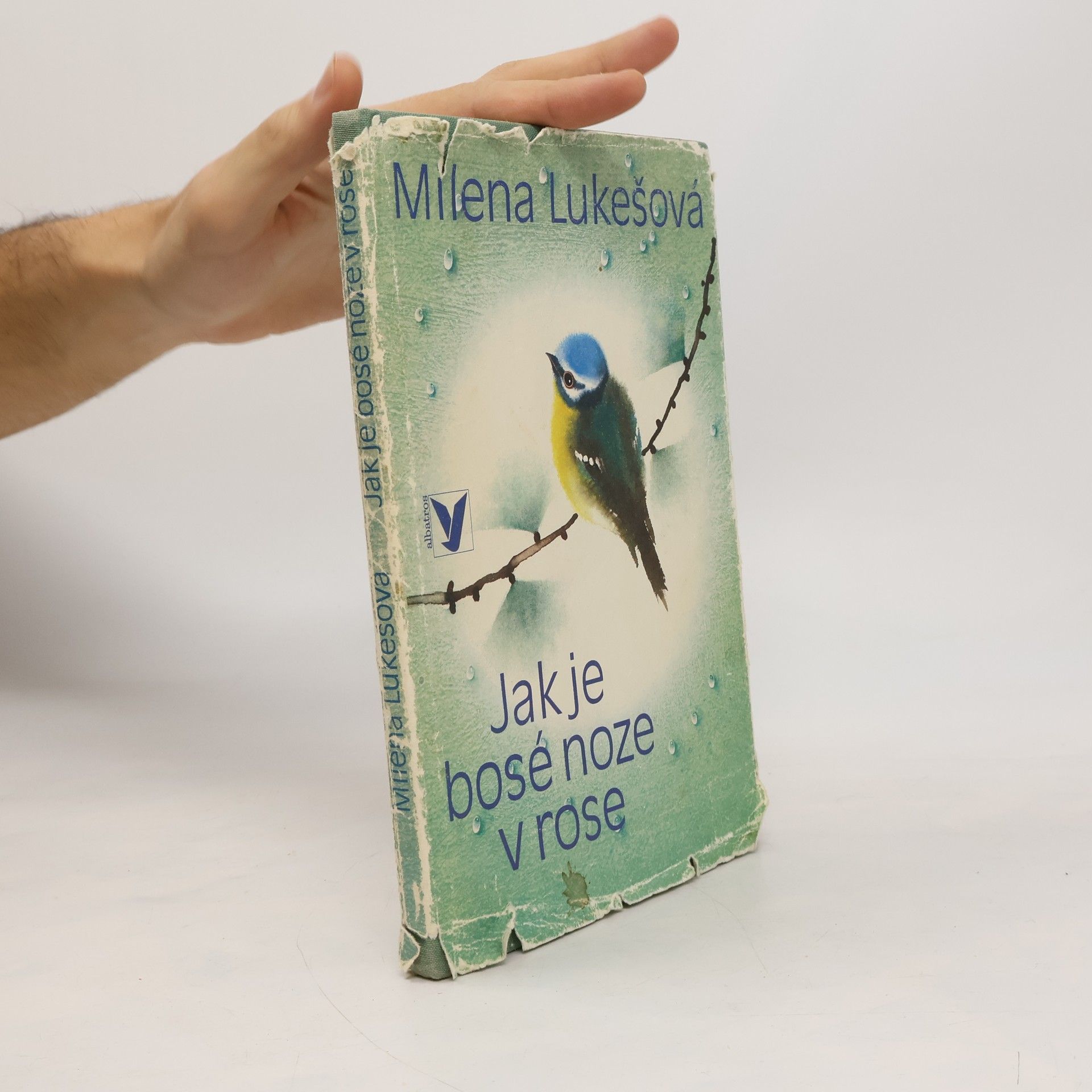 Jak je bosé noze v rose