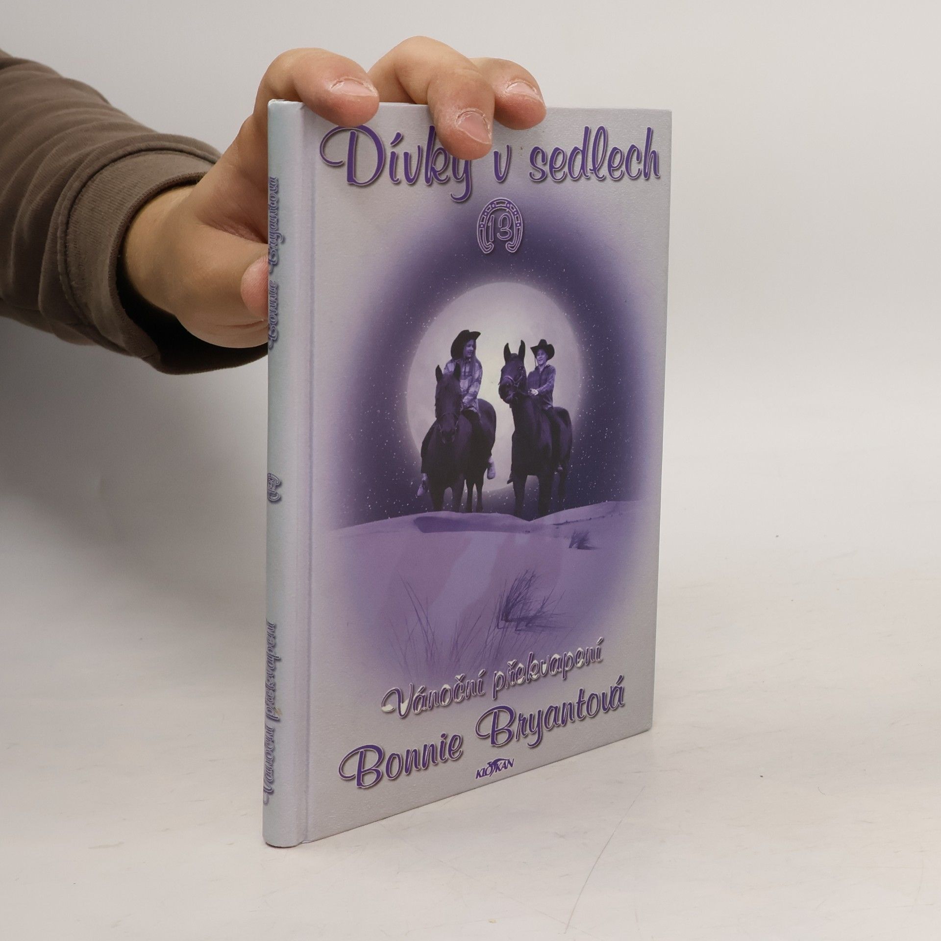 Bonnie Bryant Dívky v sedlech. 13, Vánoční překvapení